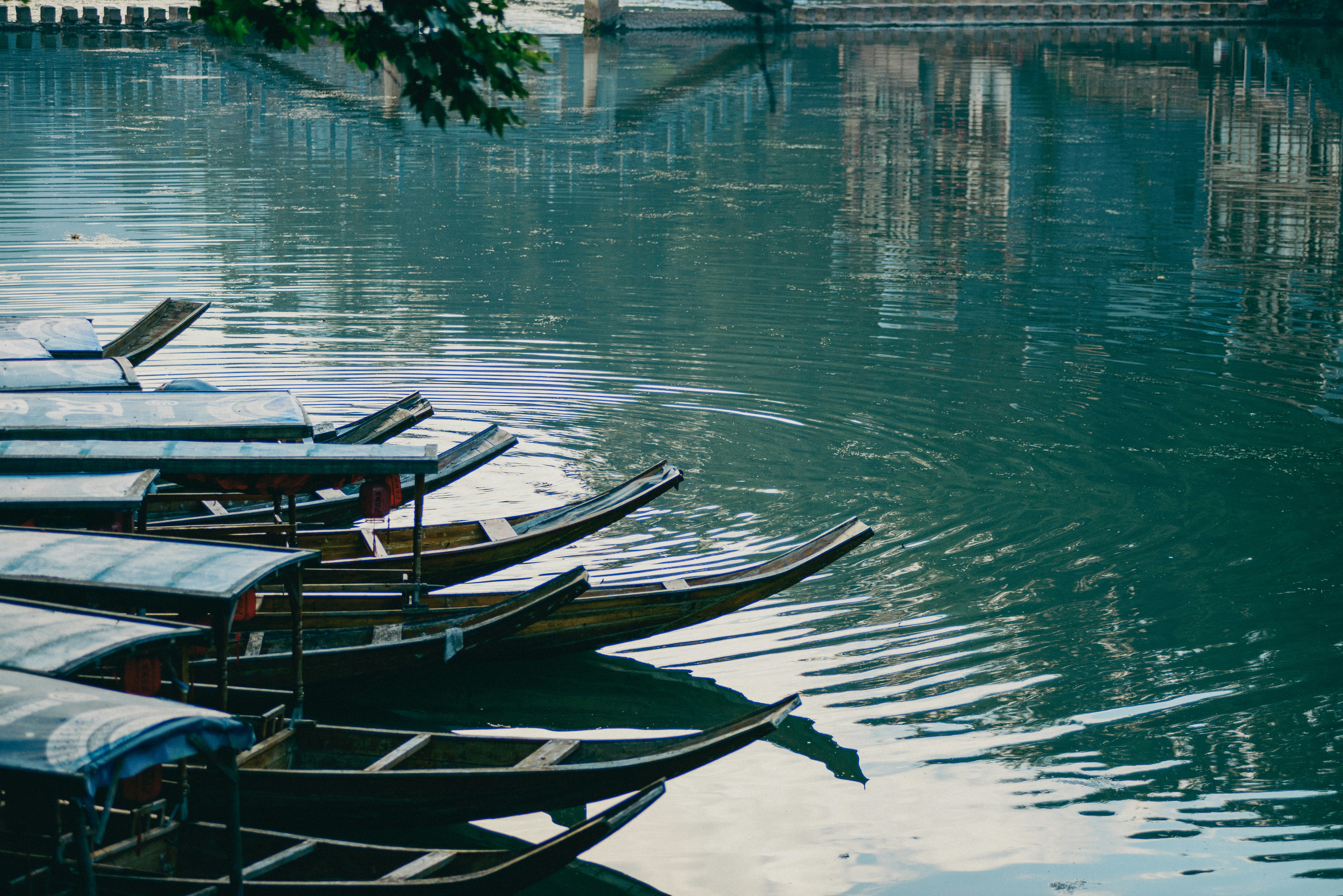 Photo by magicaleye7