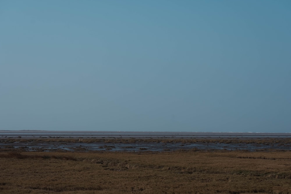 a lone airplane flying over a vast expanse of water