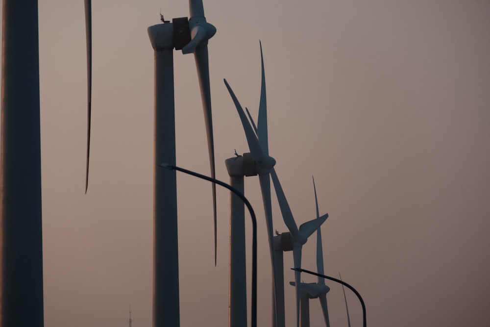 a group of wind turbines in a field