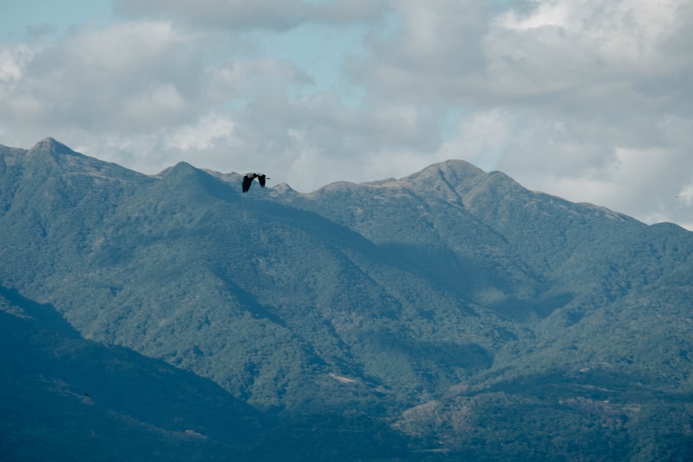 a bird is flying over a mountain range