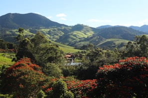 a lush green hillside with red flowers in the foreground