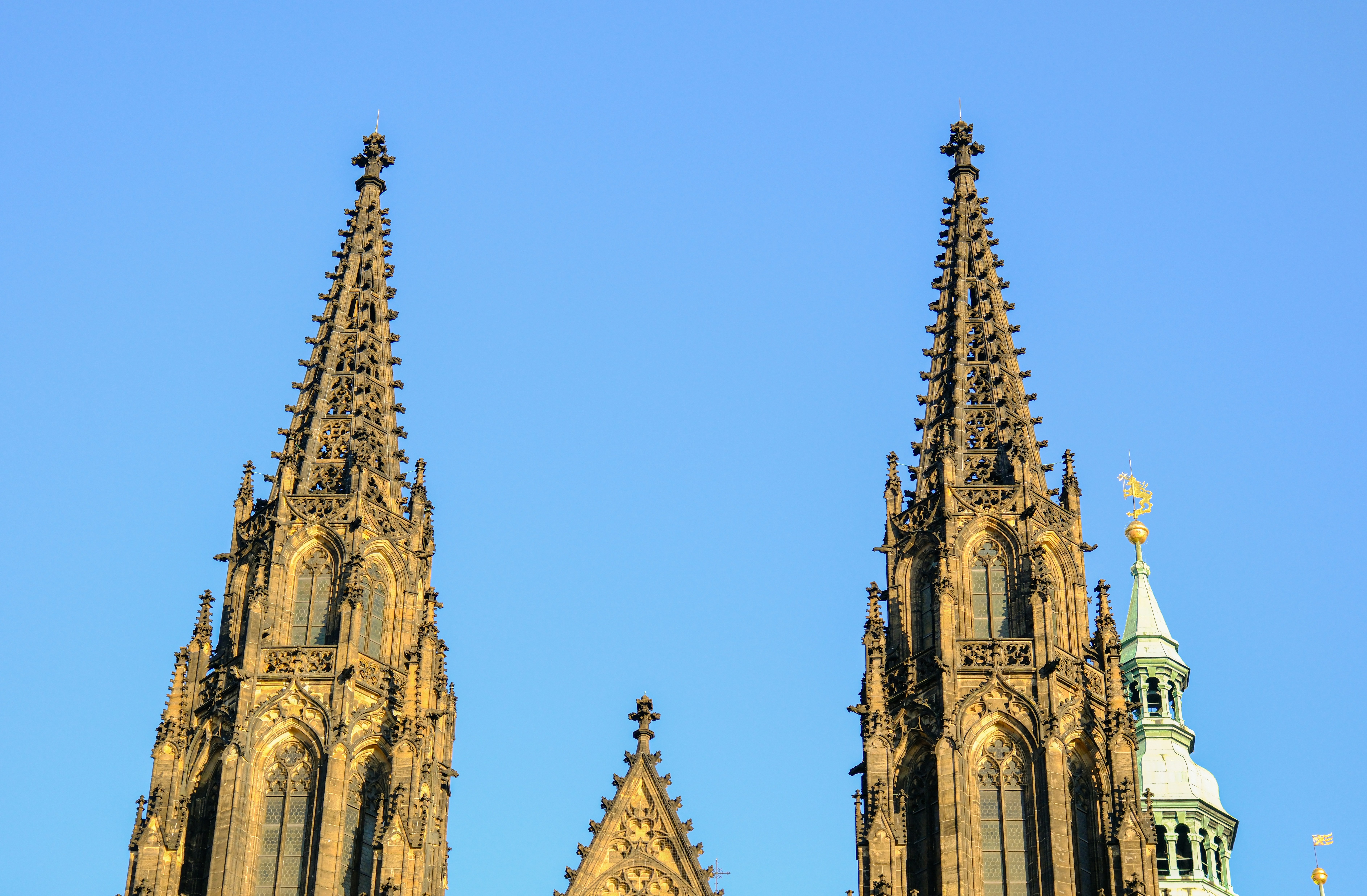 Photo by cestmoisheedy