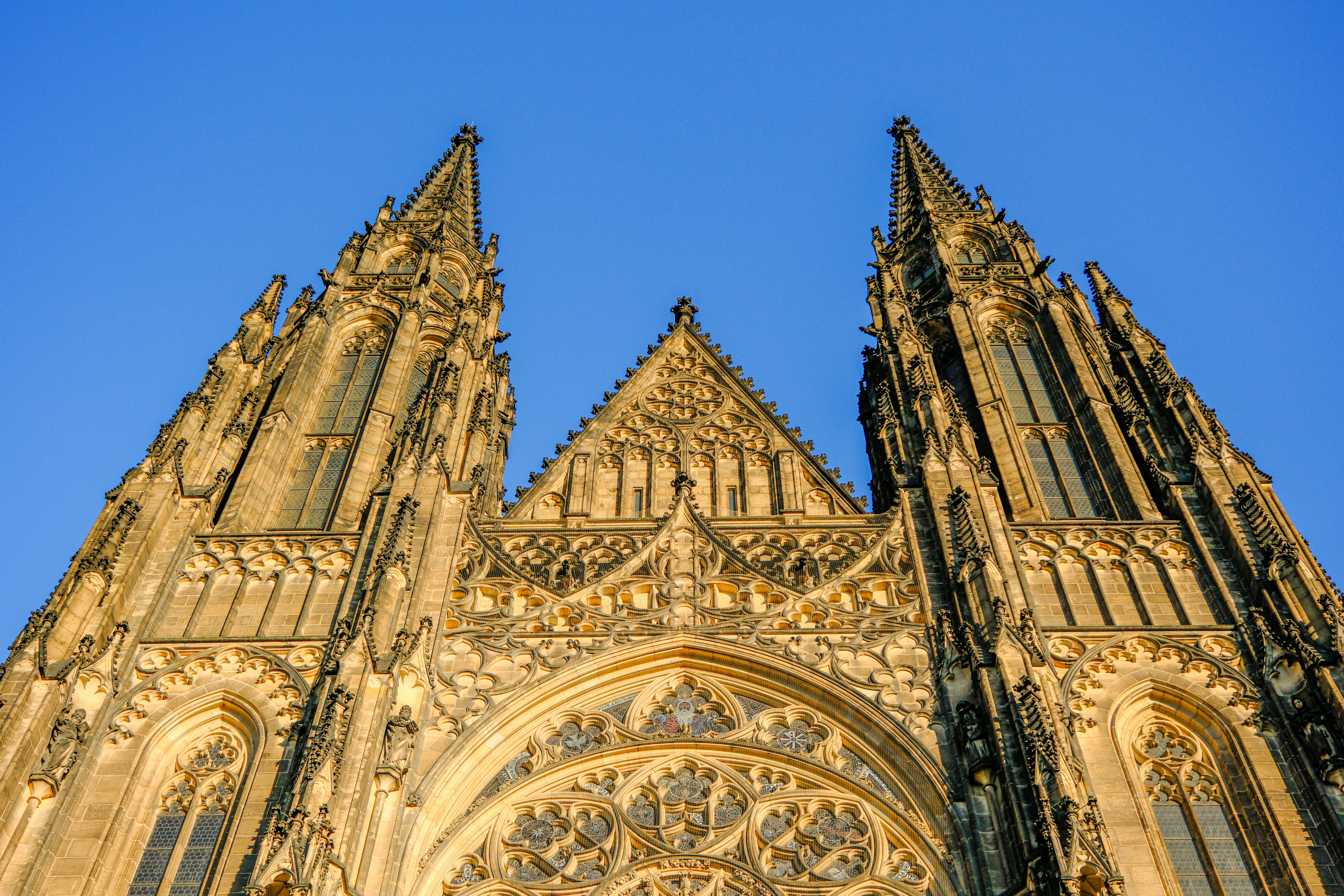 Photo by cestmoisheedy