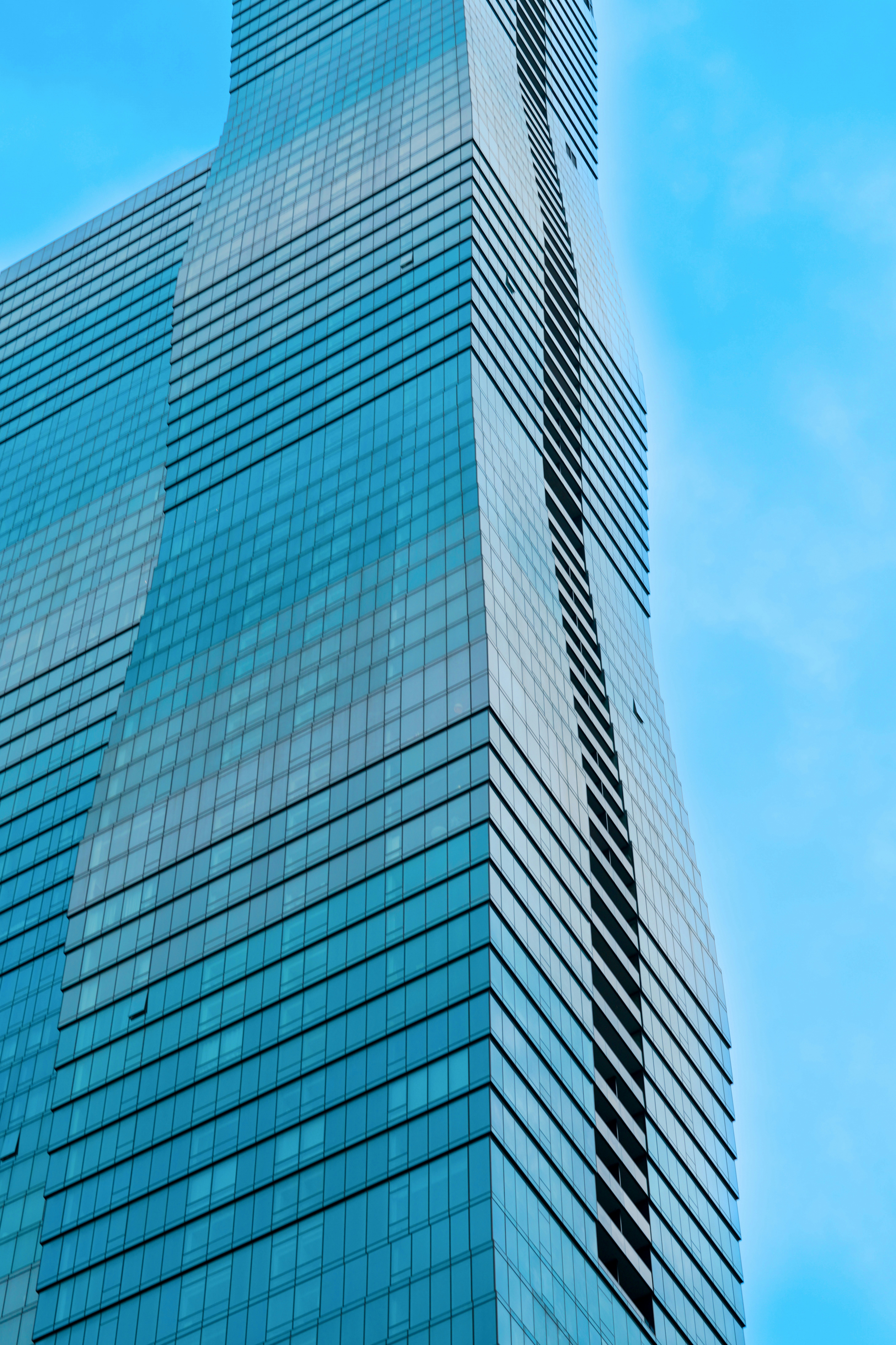 Photo by denildominic