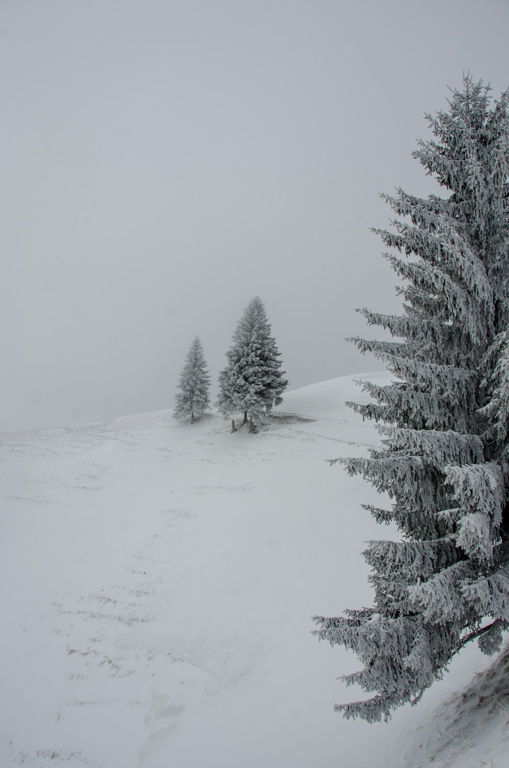 a snow covered field with trees in the distance