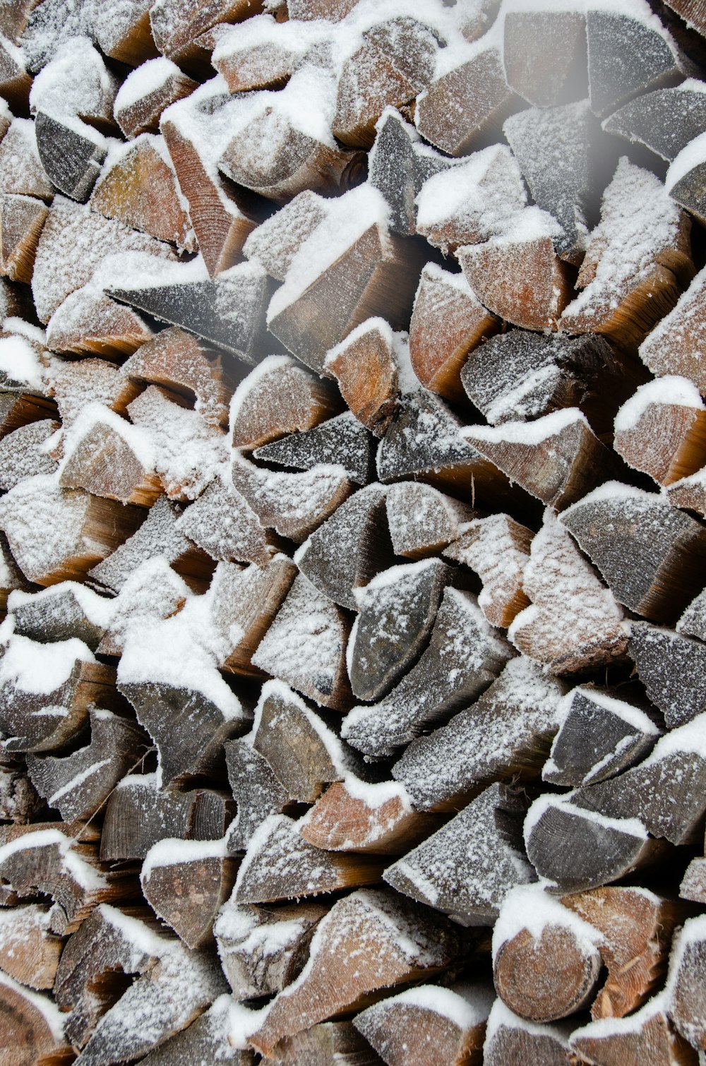 a pile of wood chips covered in snow