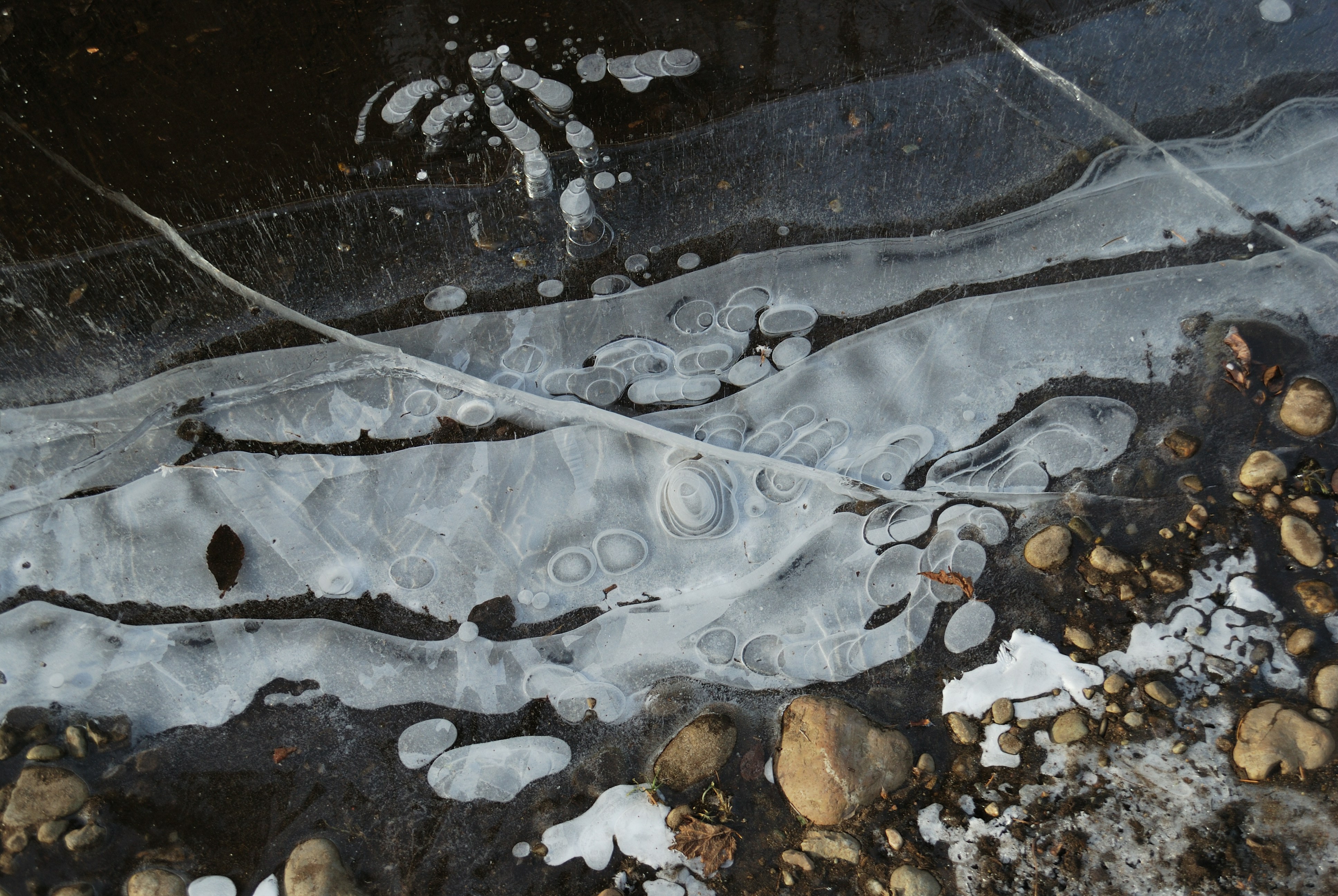 Cheyenne Swenson Leak Pictures Download Free Images on Unsplash