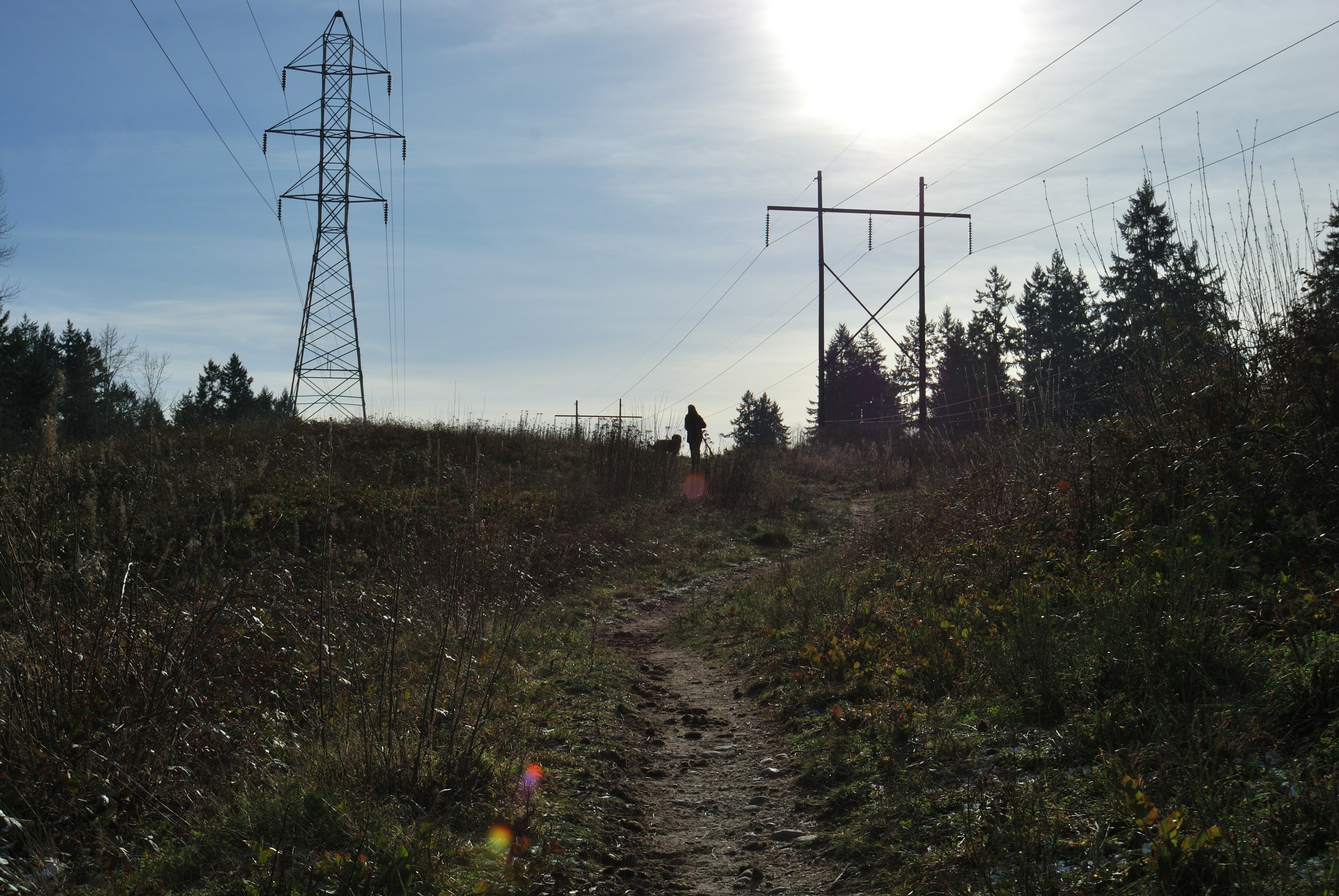 a person standing on a dirt path near power lines