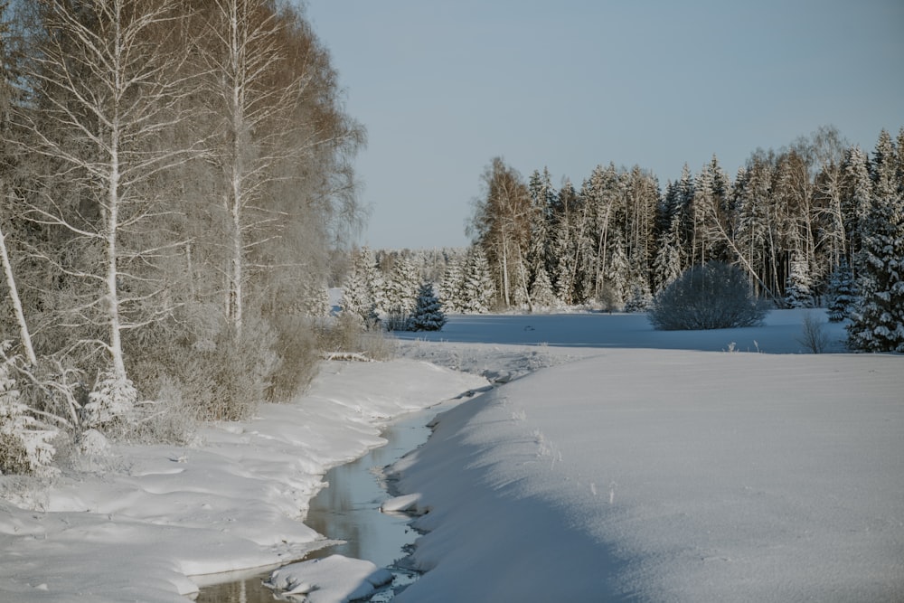 a stream running through a snow covered forest