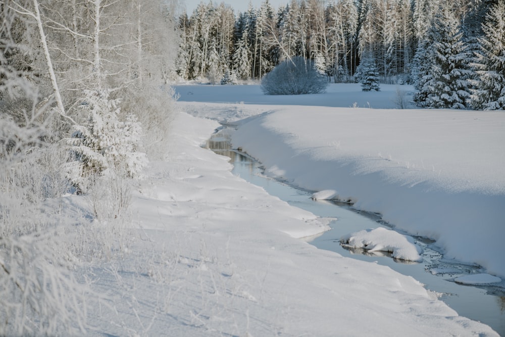 a stream running through a snow covered forest