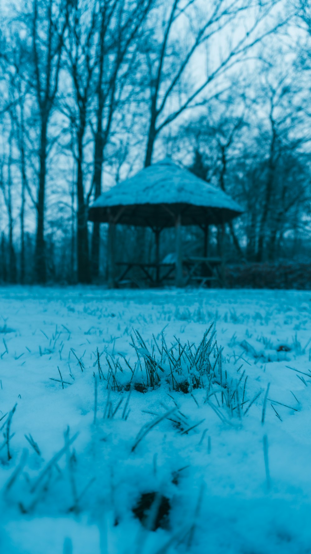 a snow covered field with a gazebo in the background