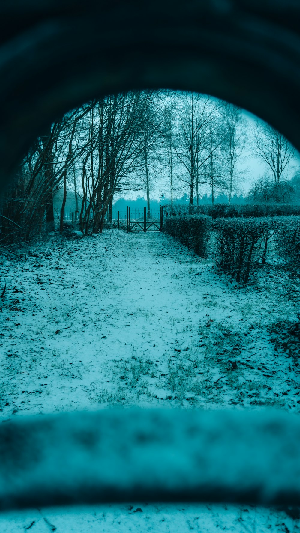 a view of a path through a snowy park
