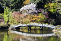 a bridge over a pond in a park
