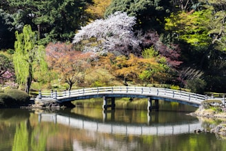 a bridge over a pond in a park