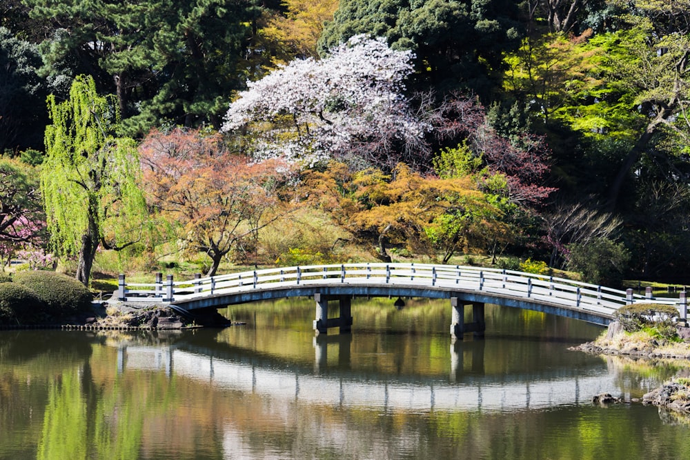 a bridge over a pond in a park