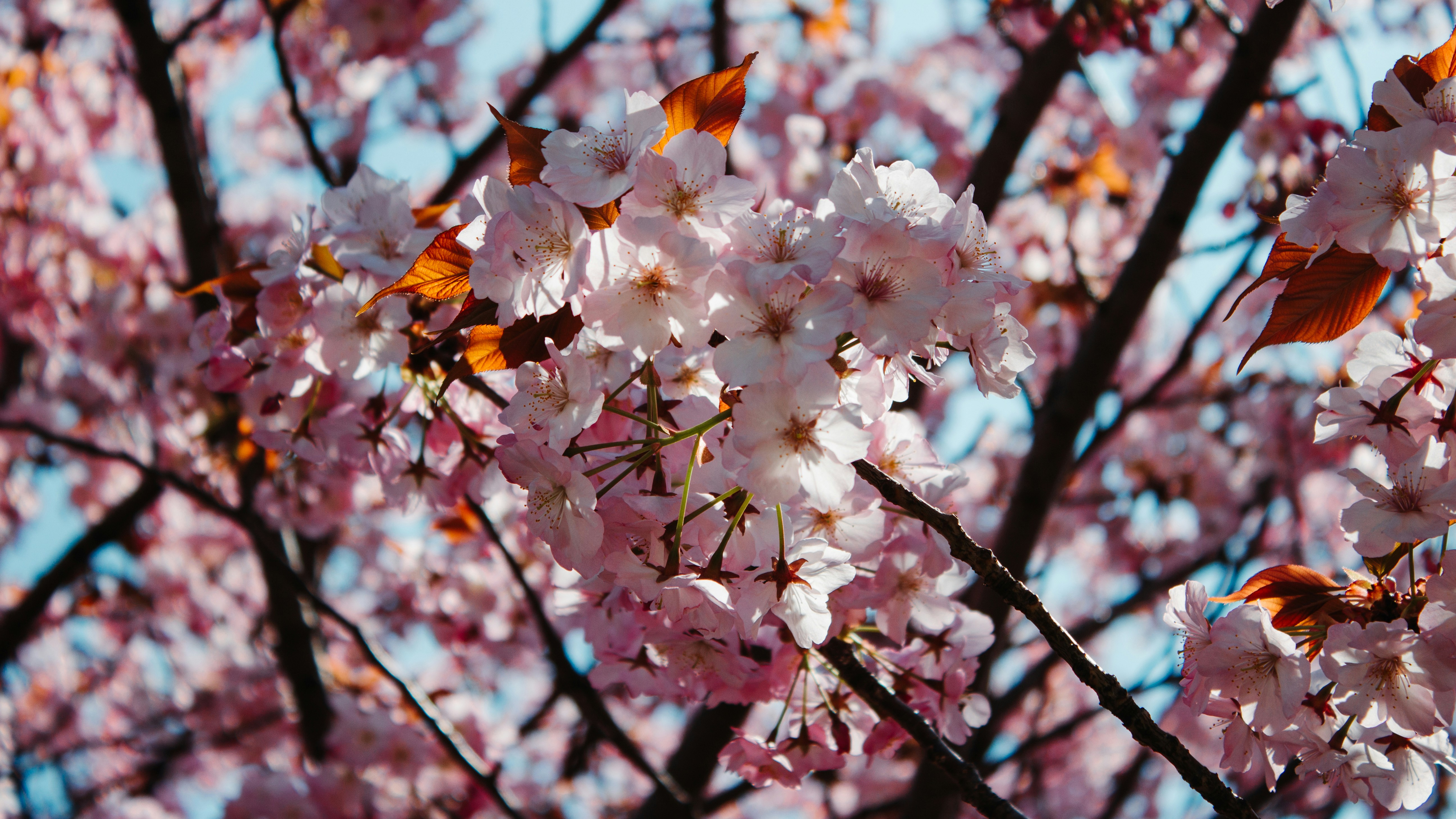 Photo by demahom1412