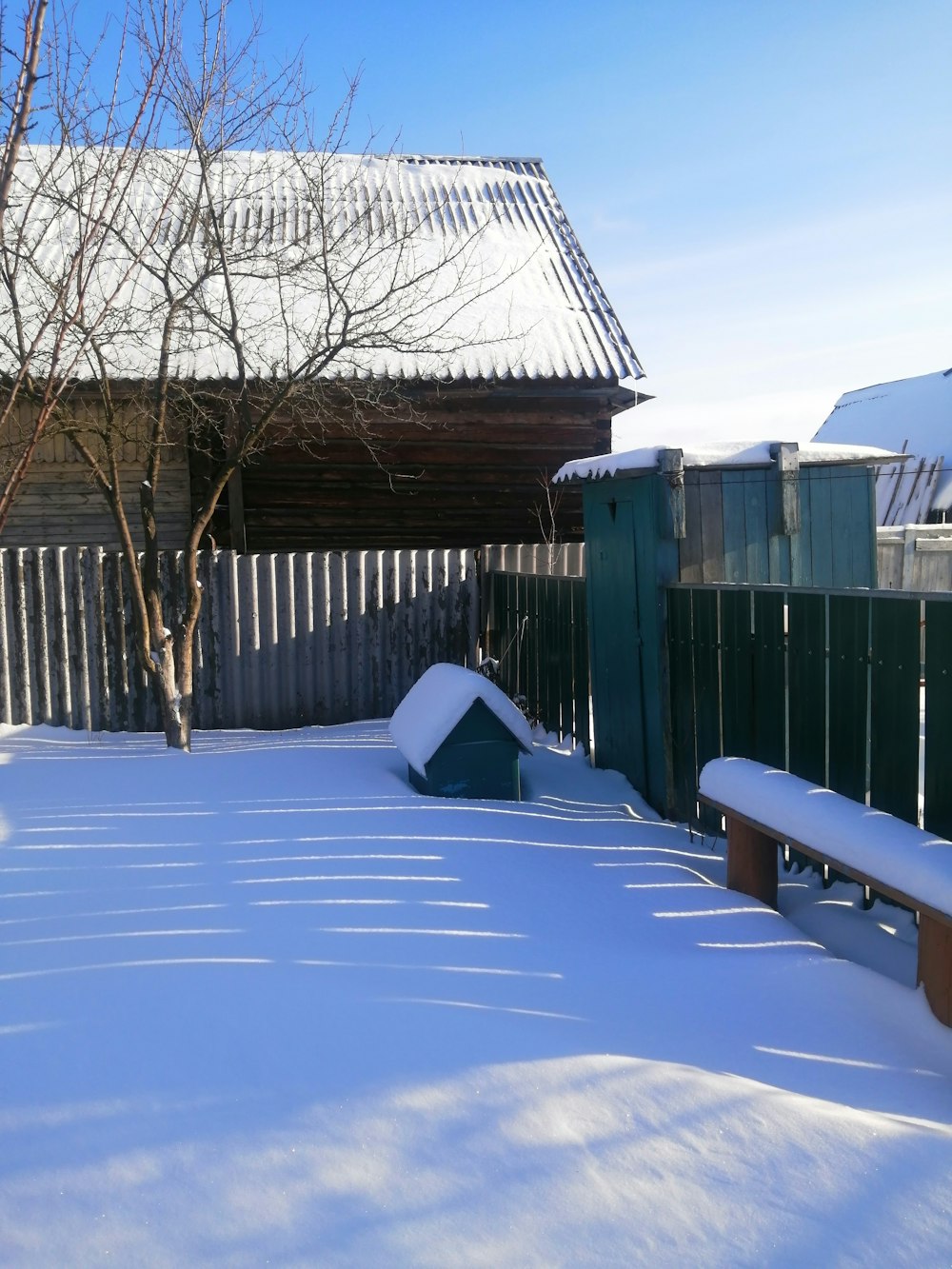 a snow covered yard with a bench and tree