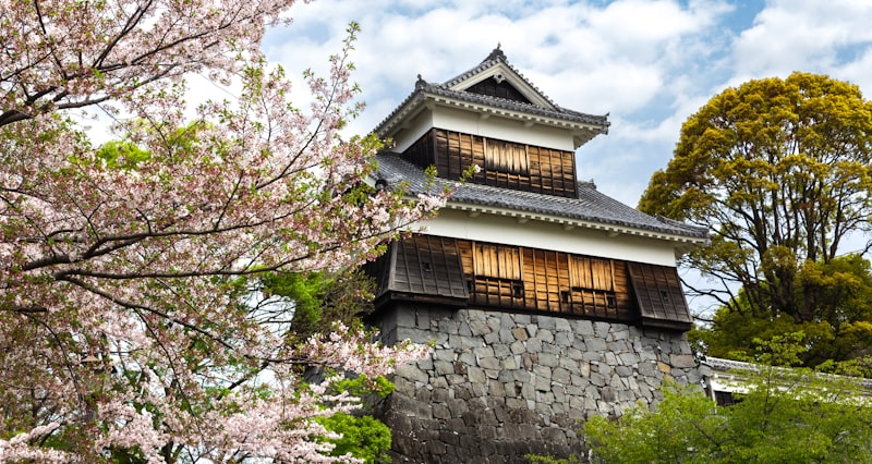 Kumamoto Castle surrounded by cherry blossoms — the city is home to One Piece character statues honoring creator Eiichiro Oda's earthquake recovery donations