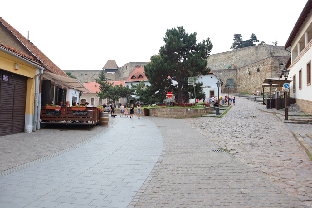 a cobblestone street in a small town