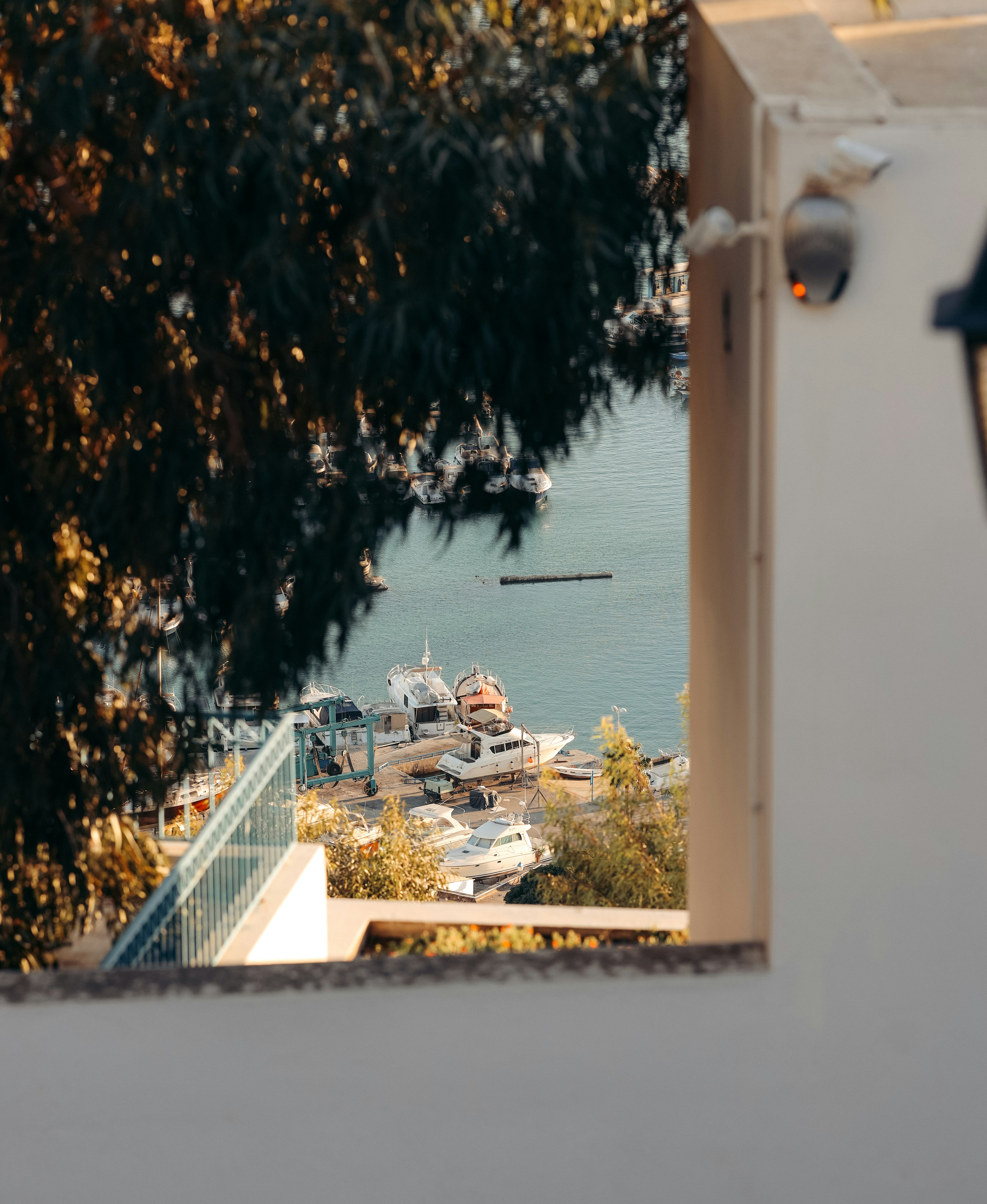 Photo by himo_beast1996