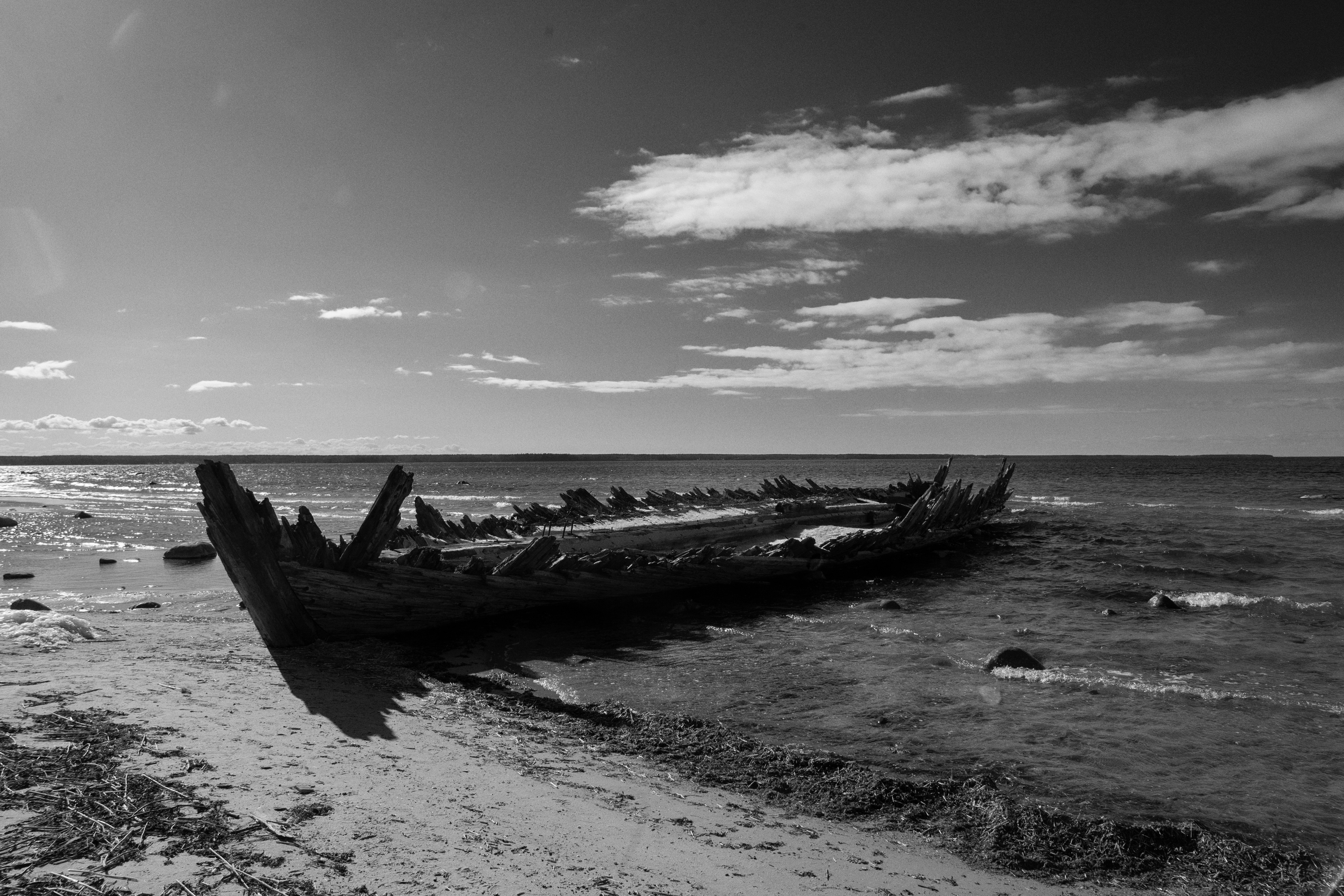 Photo by haotichnost