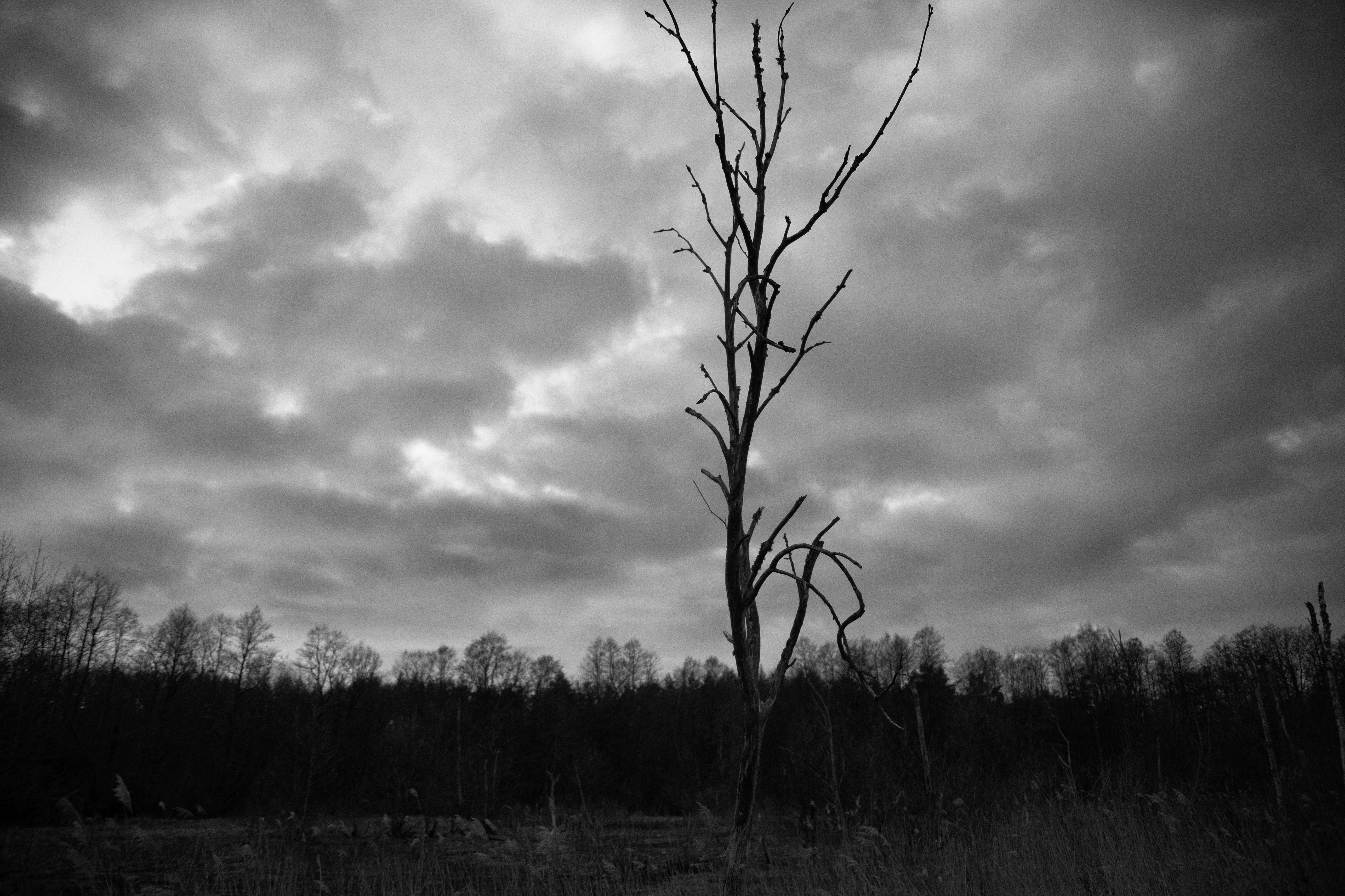 Photo by haotichnost