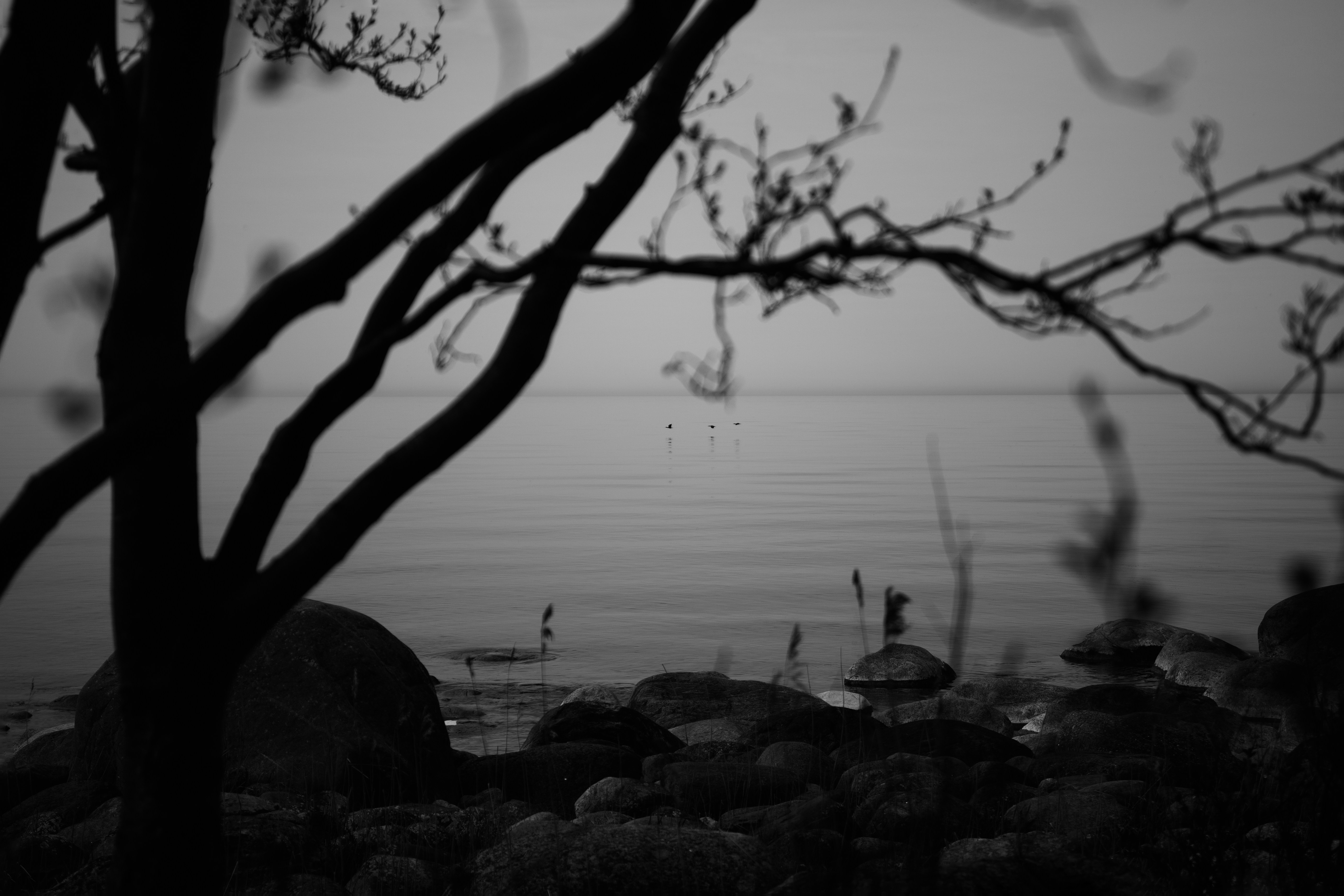 Photo by haotichnost