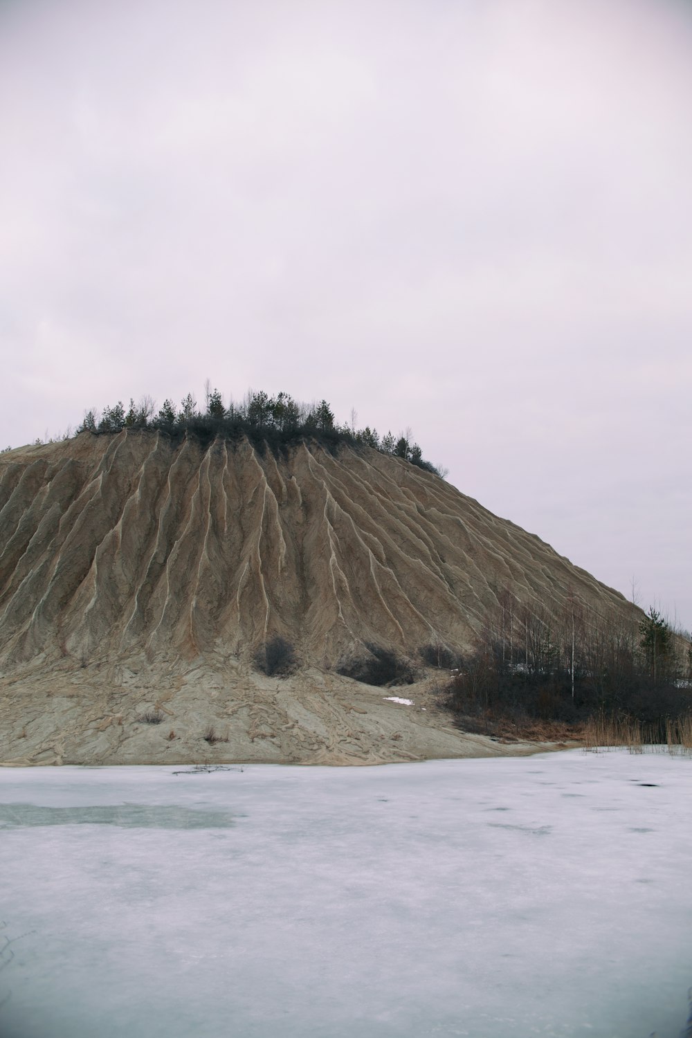 a large hill with trees on top of it