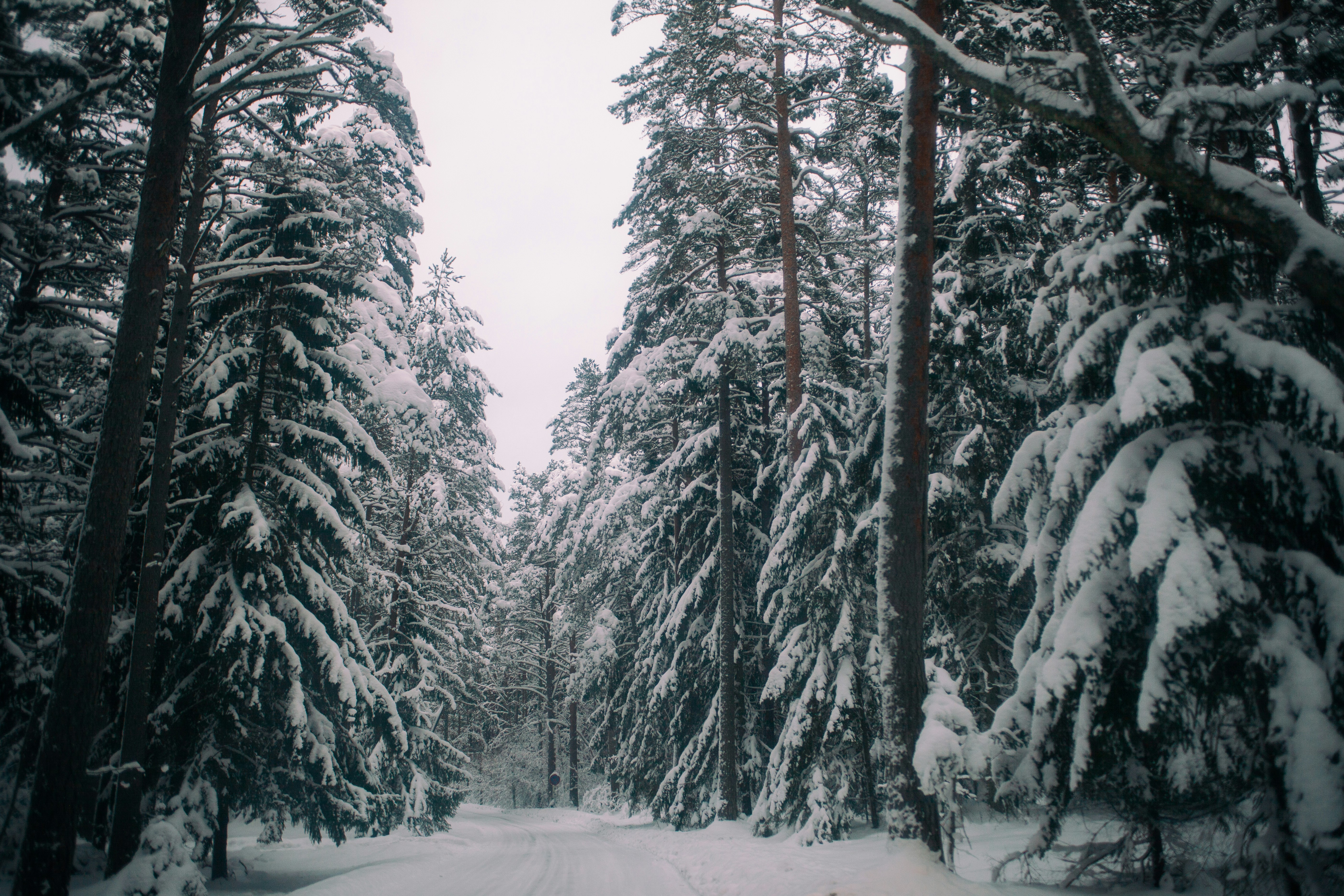 Photo by haotichnost