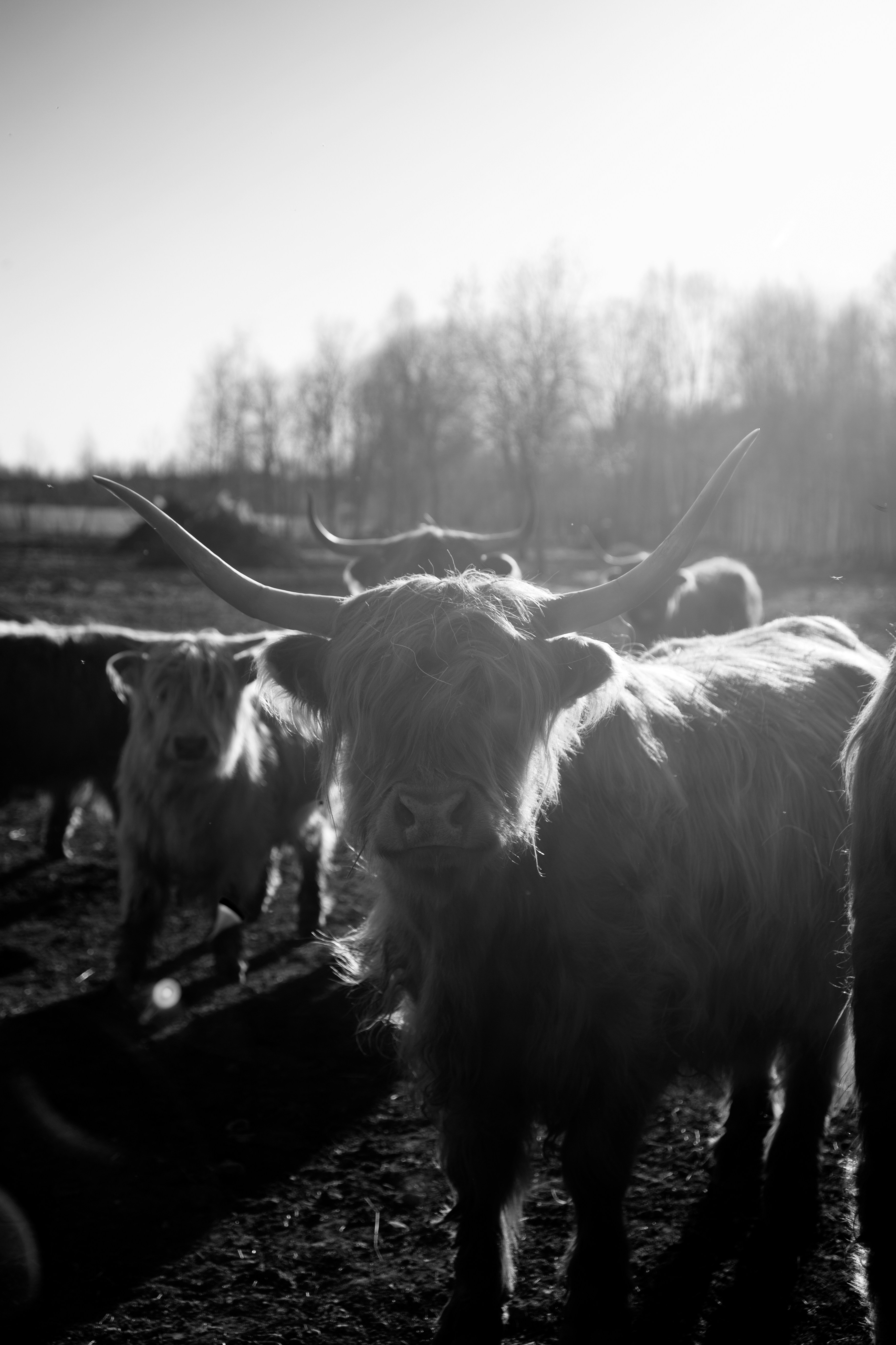 Photo by haotichnost