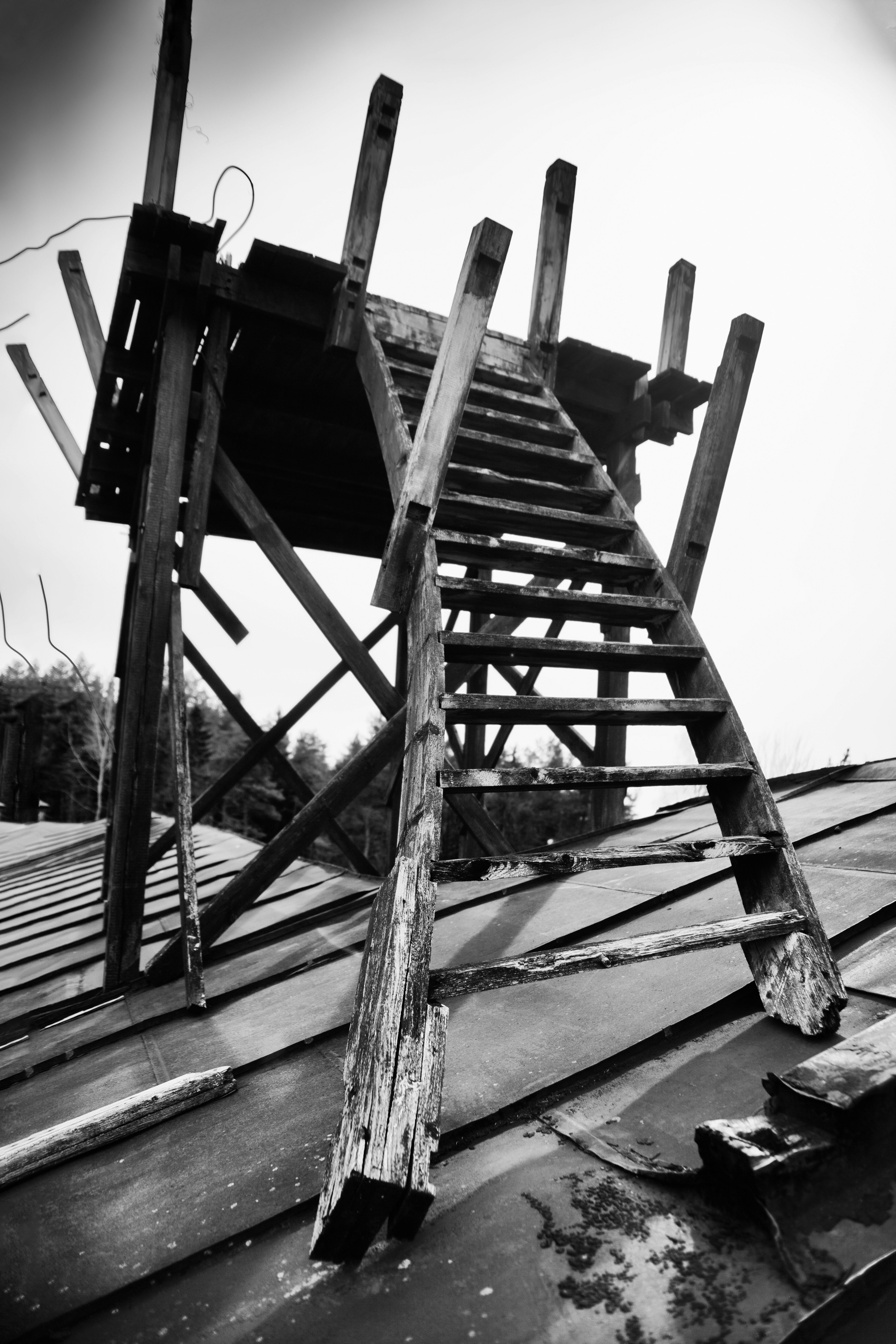 Photo by haotichnost