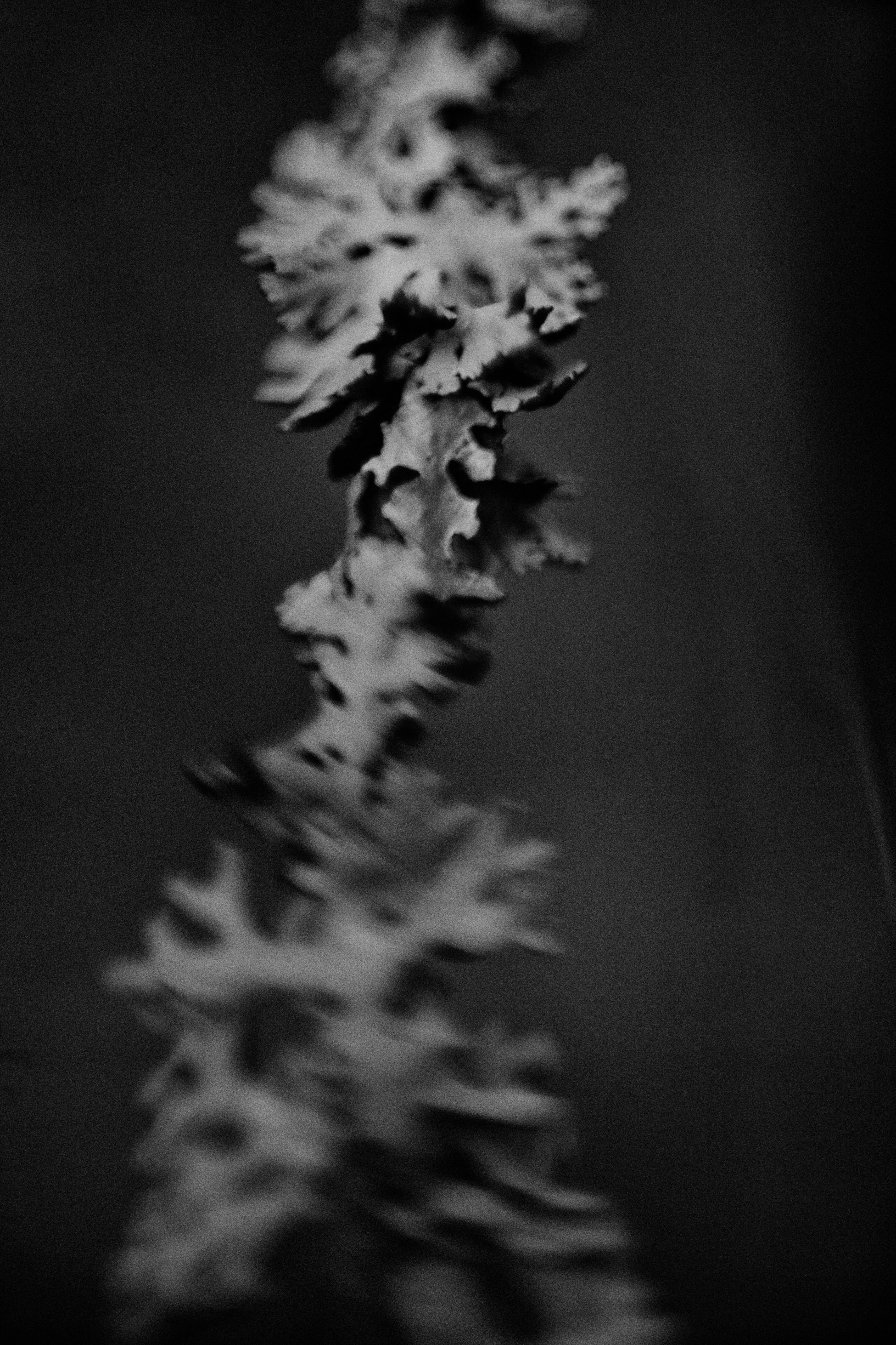 Photo by haotichnost