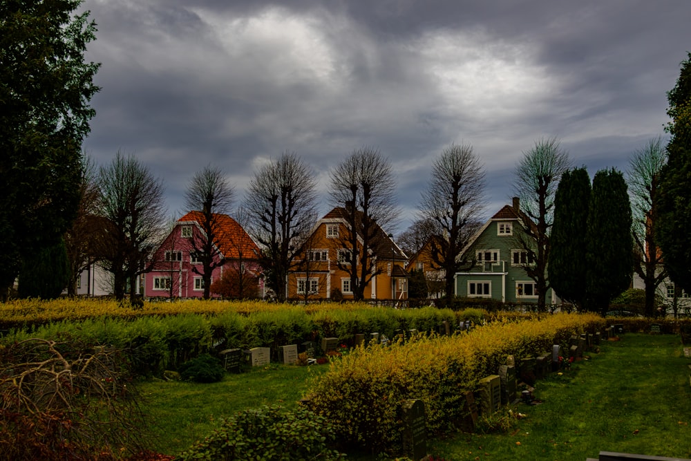 a row of houses sitting on top of a lush green field