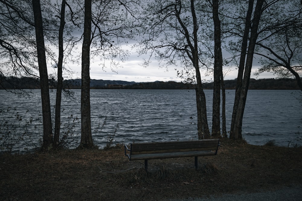 a park bench sitting next to a body of water