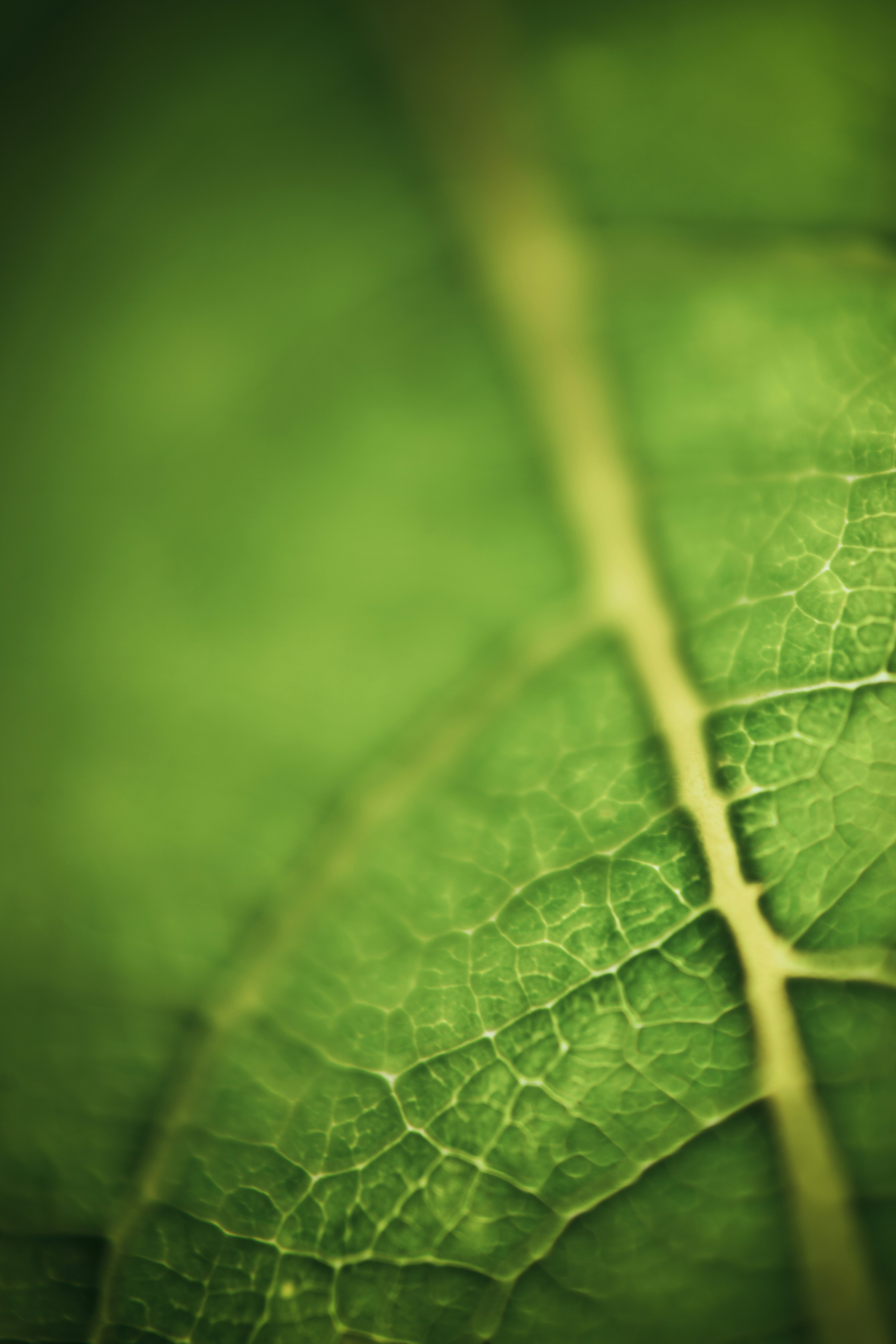 Photo by haotichnost