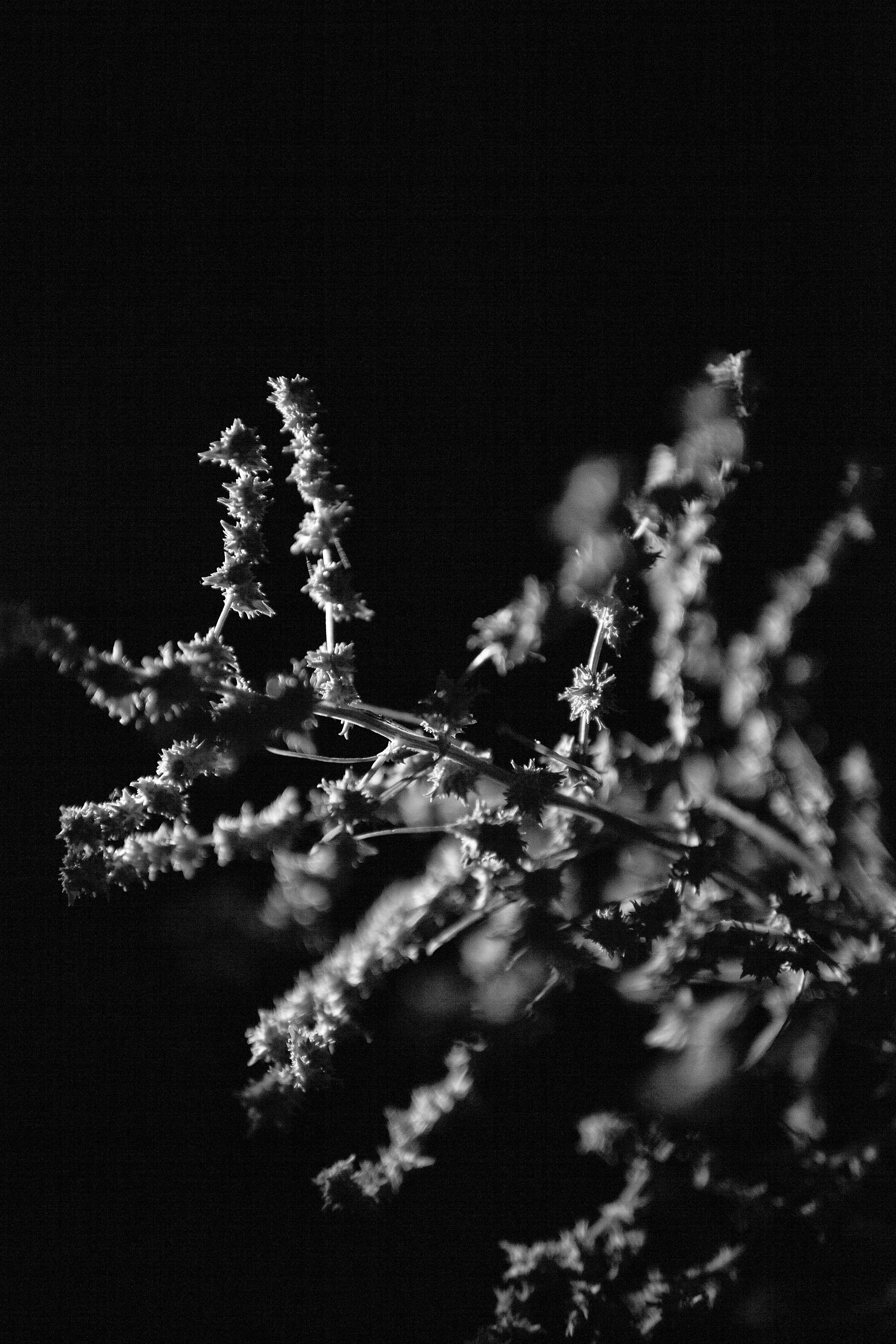 Photo by haotichnost