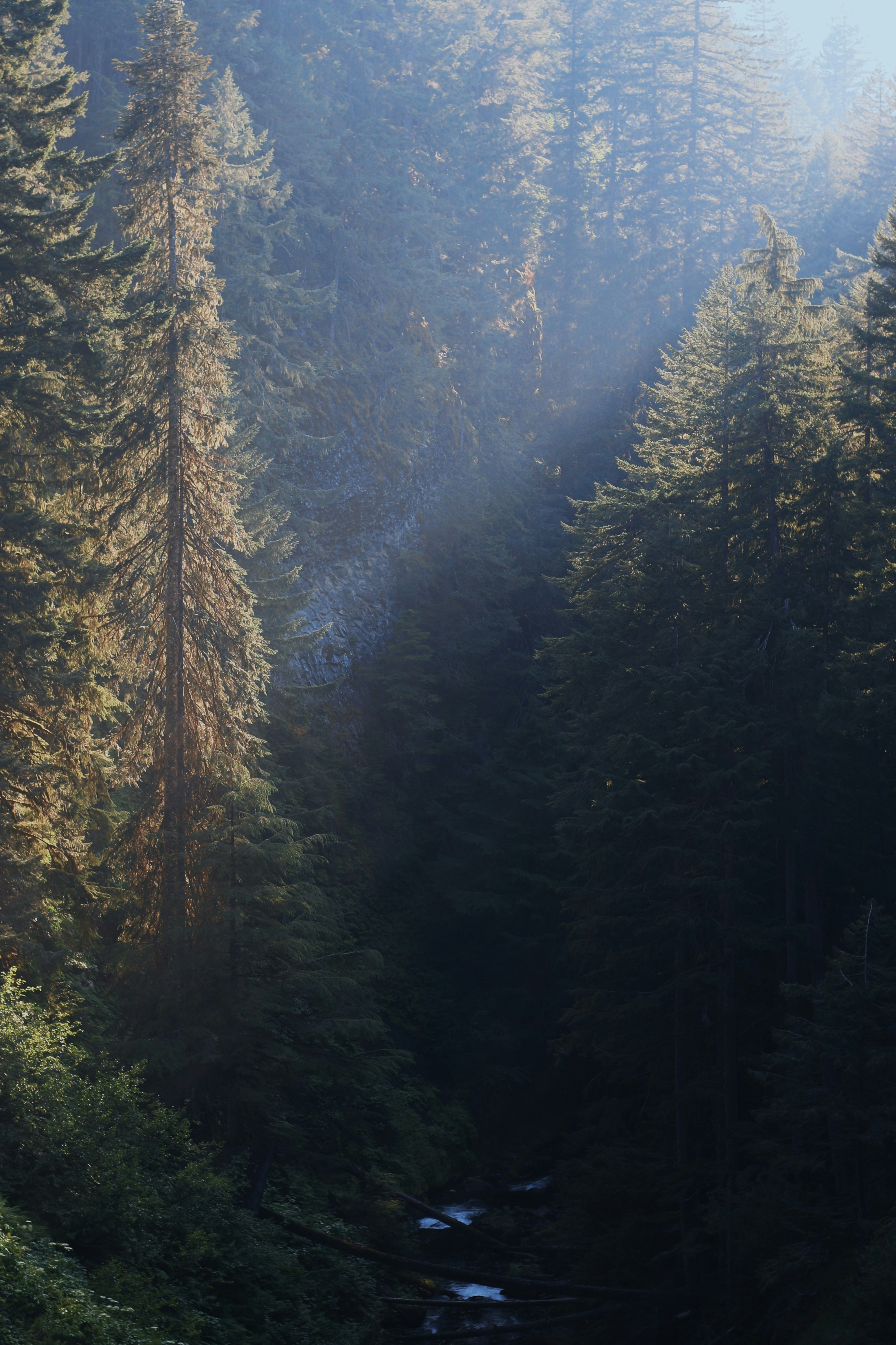 Photo by joelclark4012