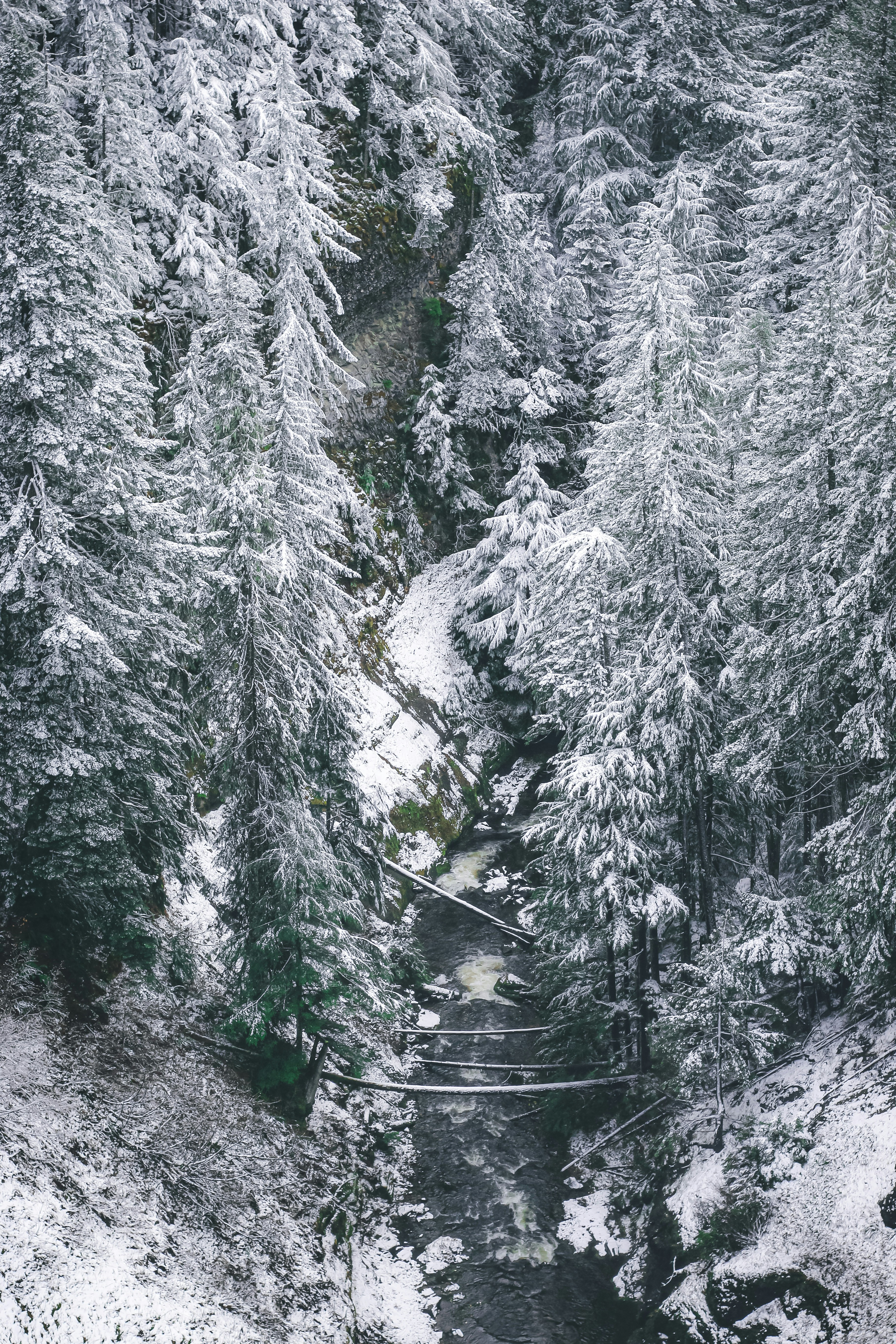 Photo by joelclark4012