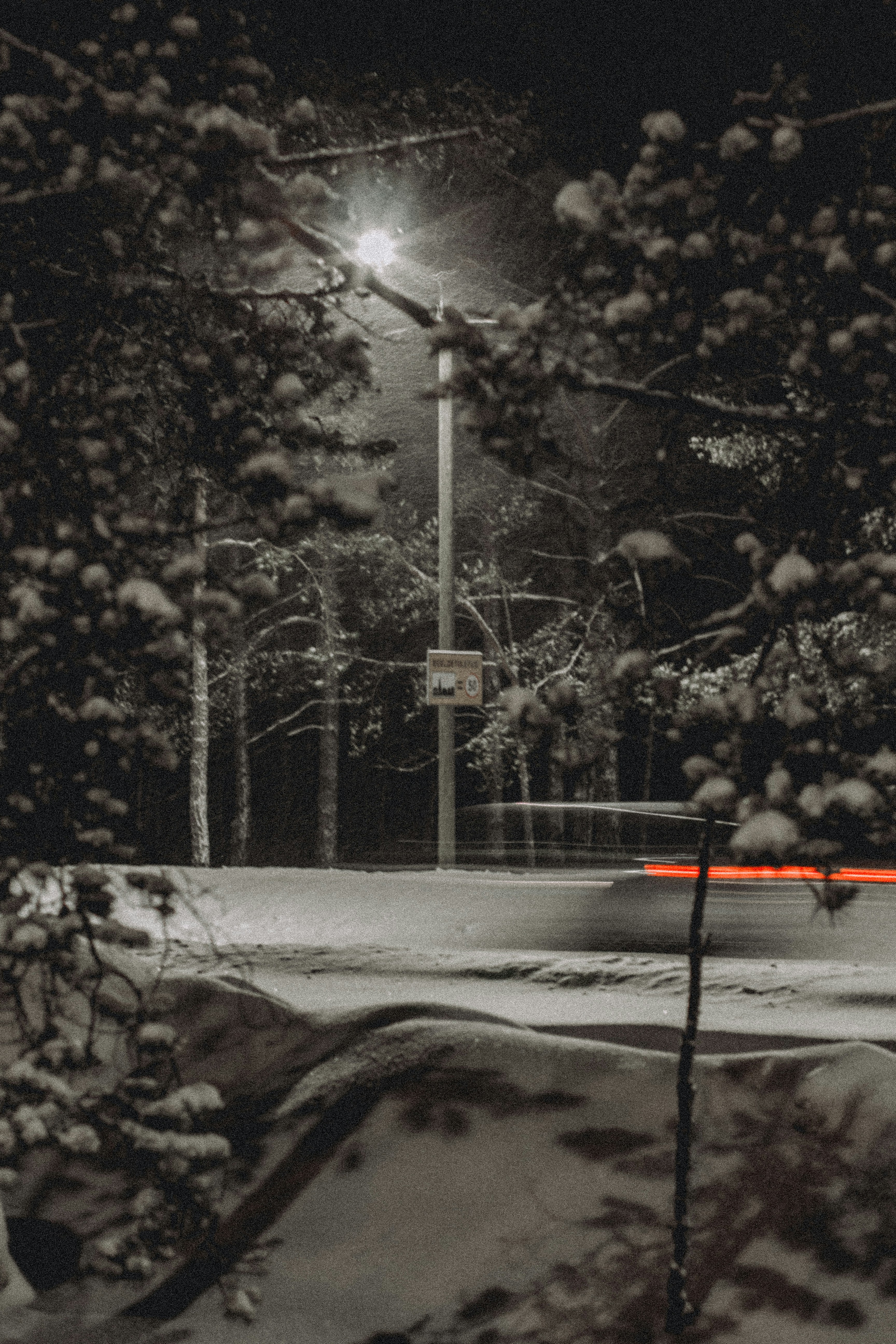 Photo by maximyuryshev