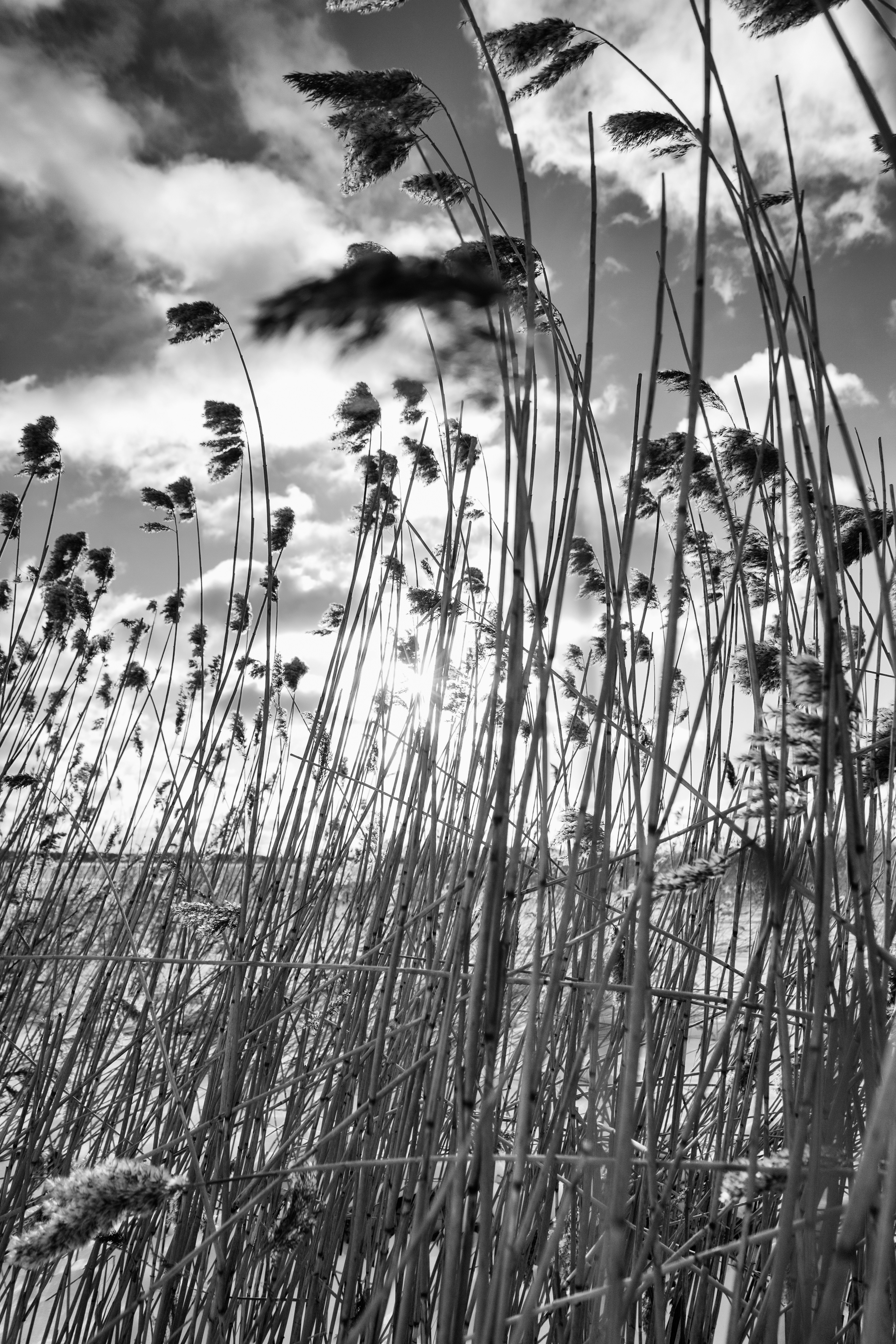 Photo by haotichnost