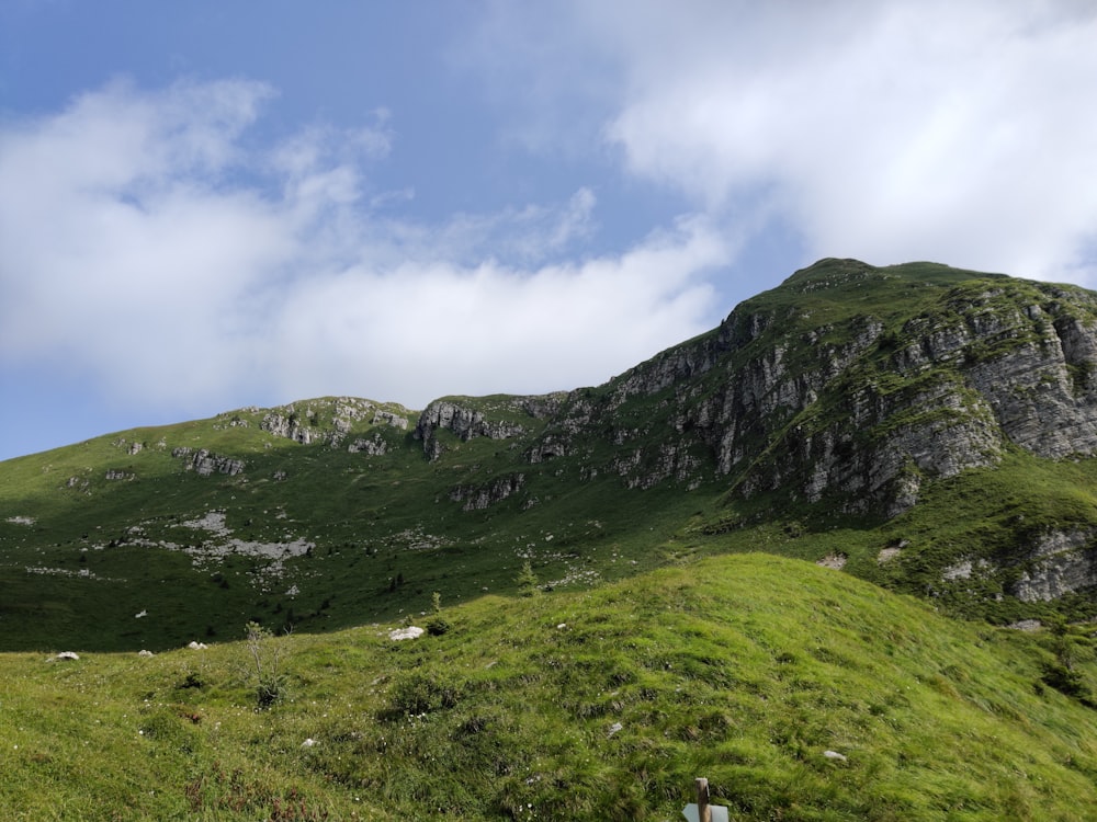 a grassy hill with a mountain in the background