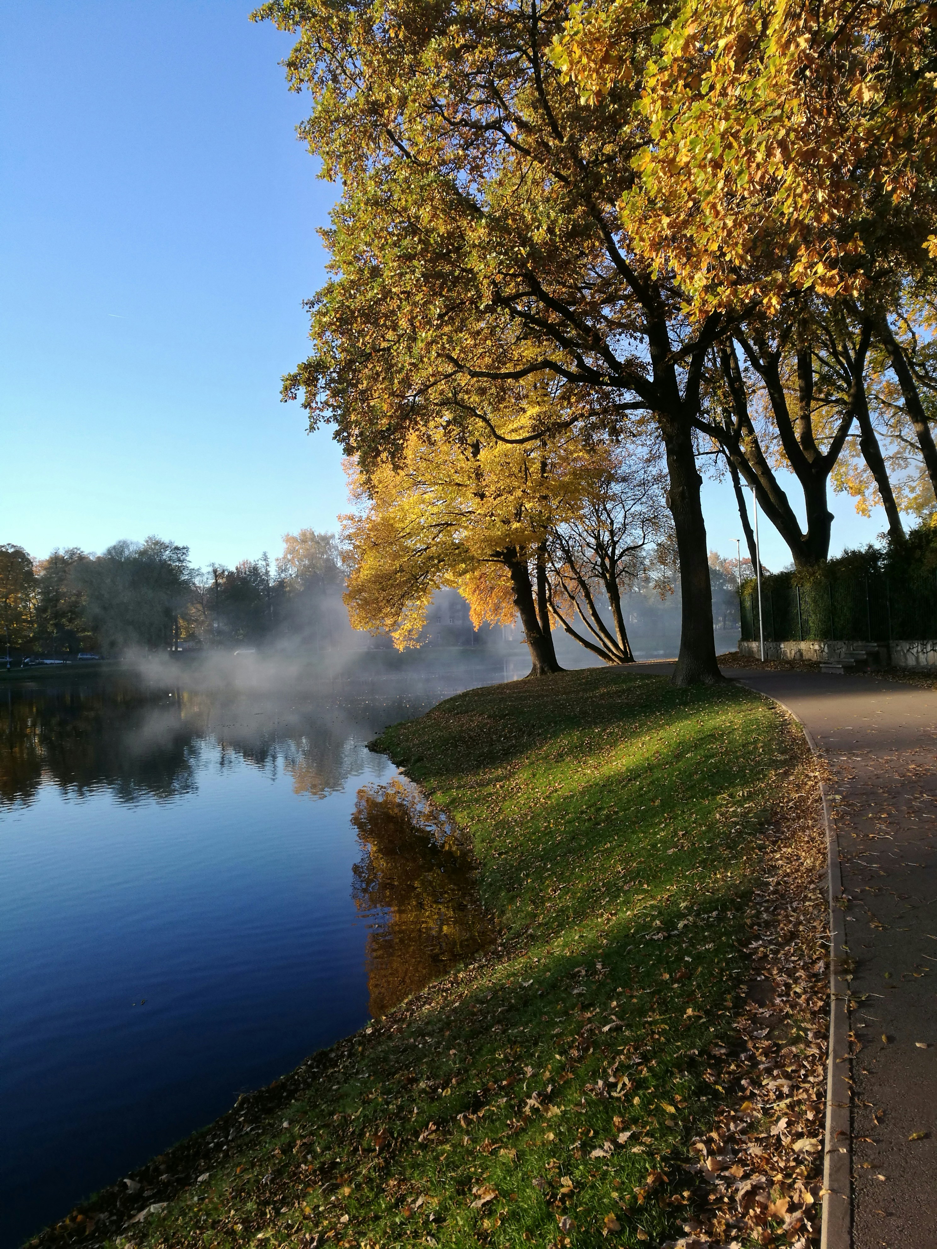 A path next to a body of water surrounded by trees photo – Free ...