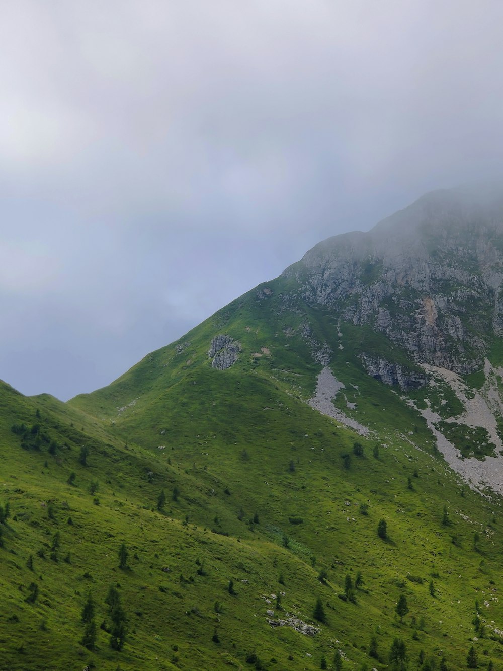 a mountain covered in green grass and trees