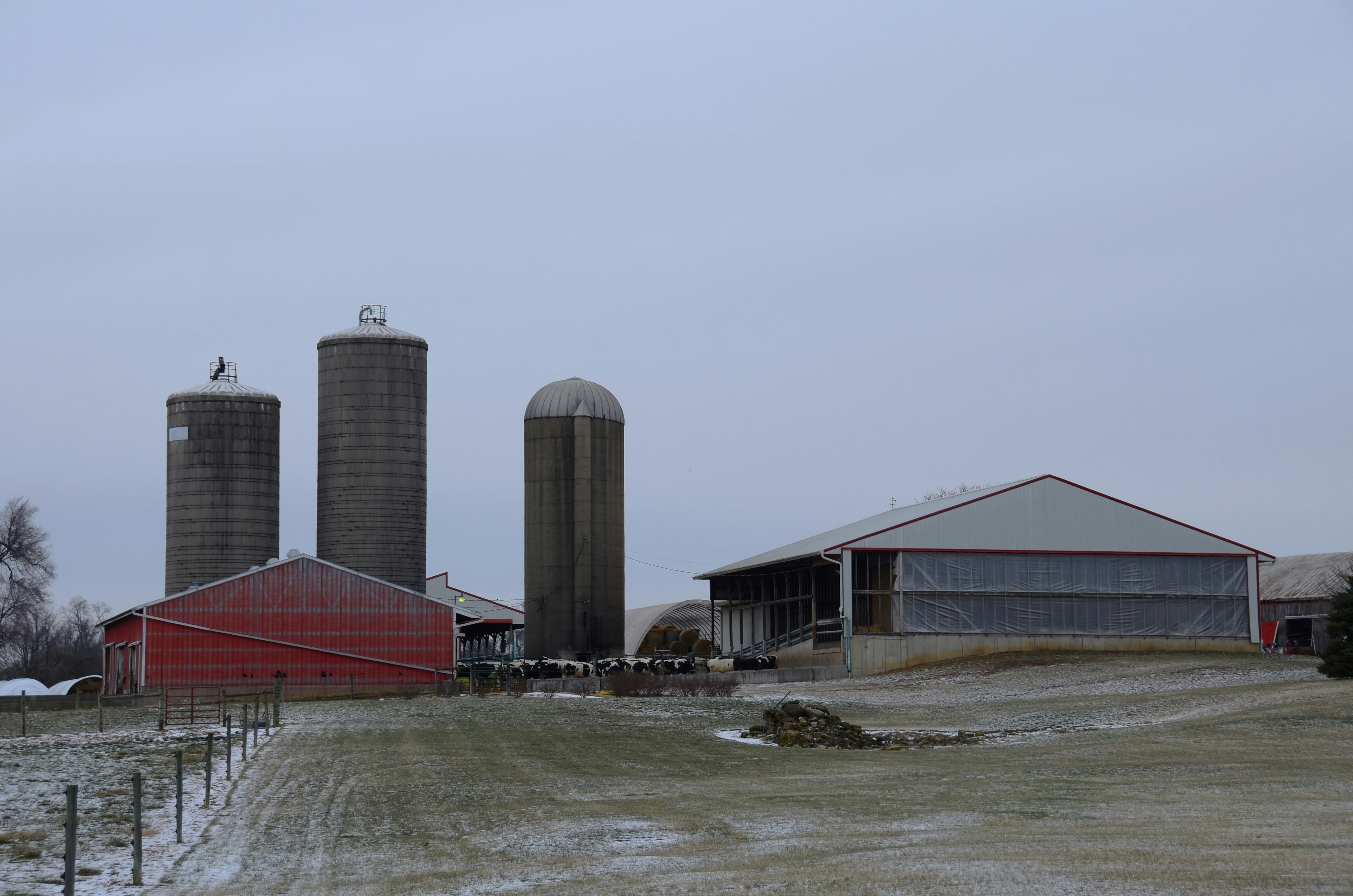 photo 1705706451345 dcc64222210a?crop=entropy&cs=tinysrgb&fit=max&fm=jpg&ixid=M3w1MjQ0NjR8MHwxfHNlYXJjaHwxMnx8UGVzdCUyMENvbnRyb2wlMjBTZXJ2aWNlJTIwRHVidXF1ZSUyMElvd2F8ZW58MHwwfHx8MTc2MDMxNTMwNXww&ixlib=rb 4.1