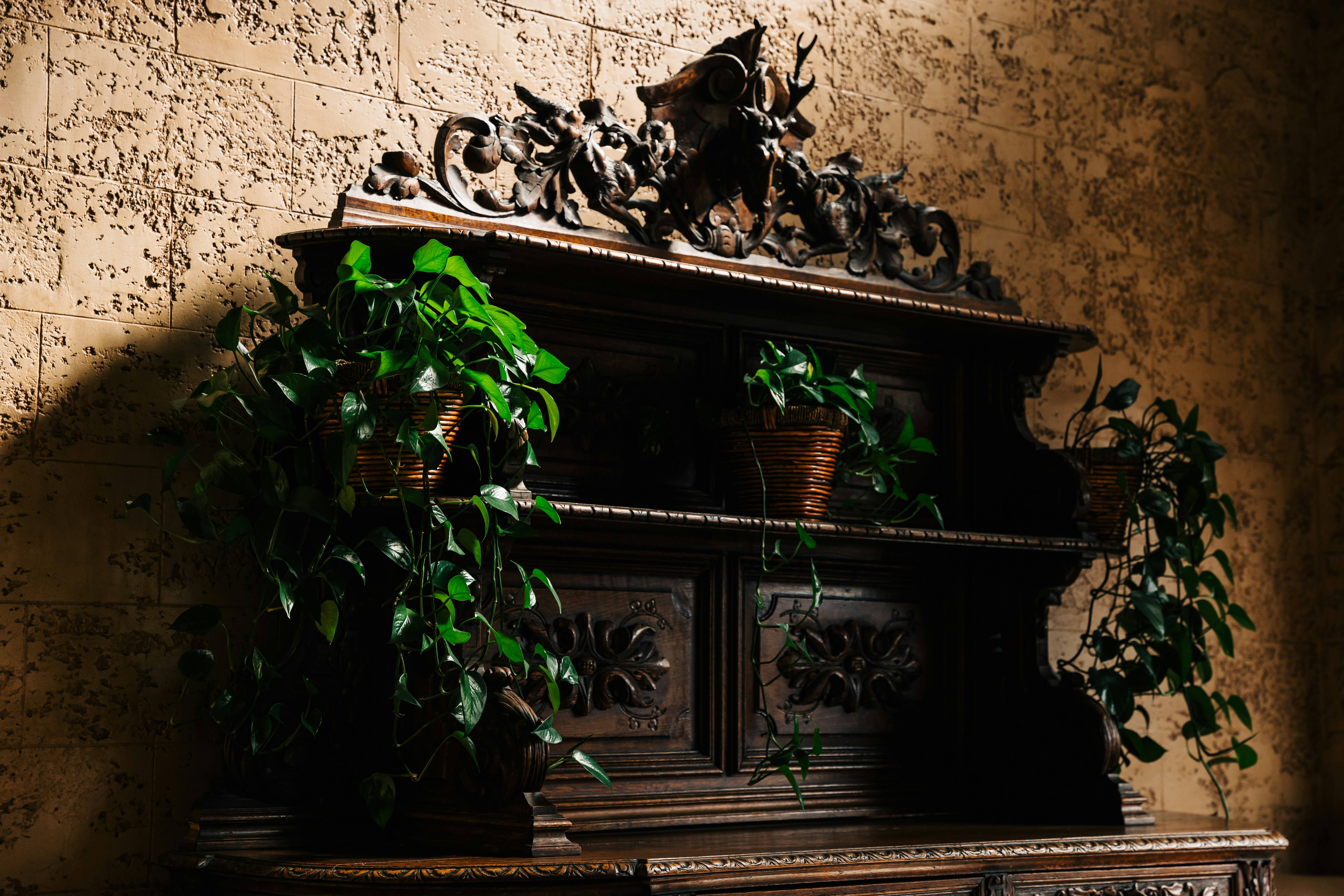 Photo by charlesmollphoto