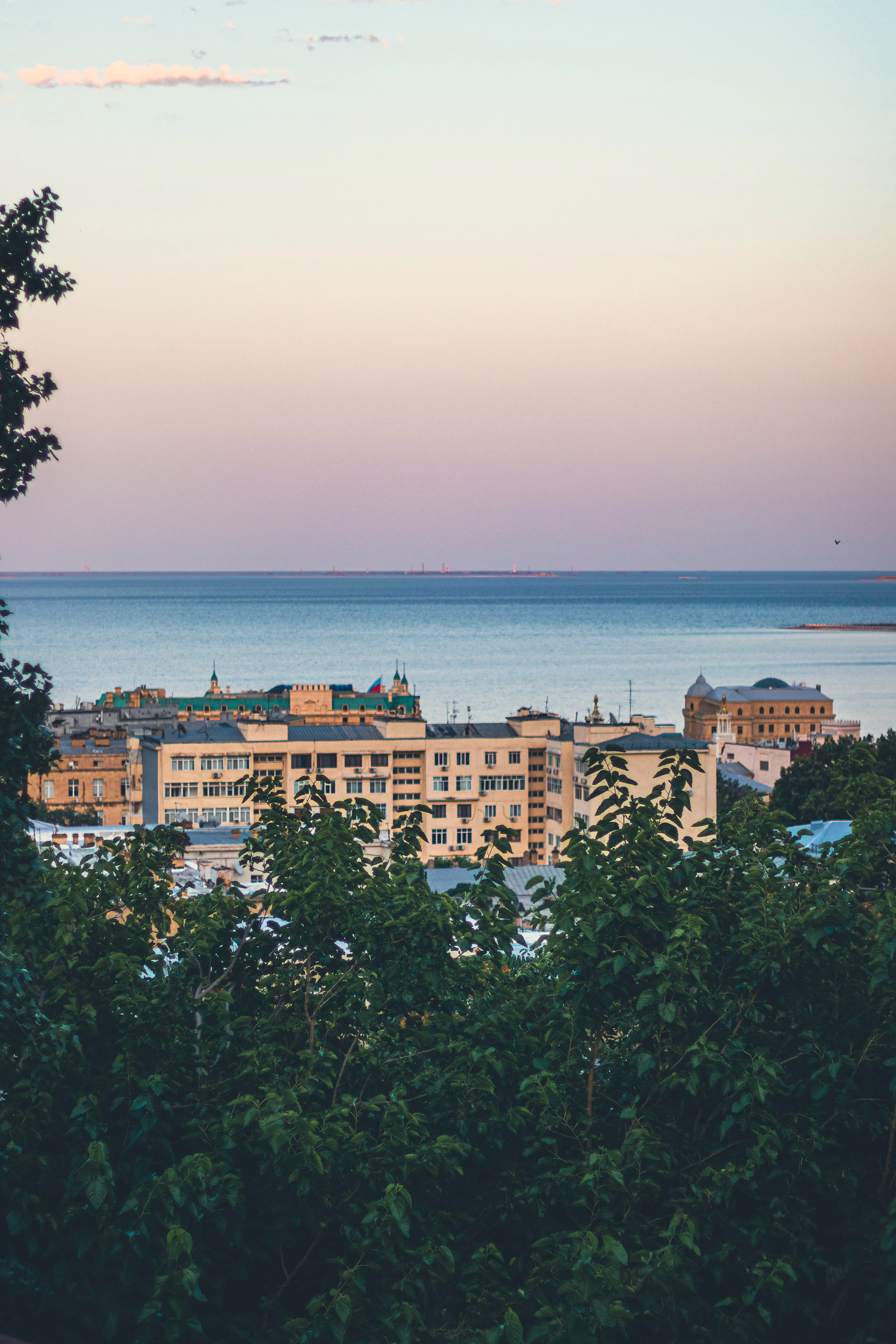 Rooftops and the Caspian Sea meet under a soft pink dusk sky, framed by leafy branches.