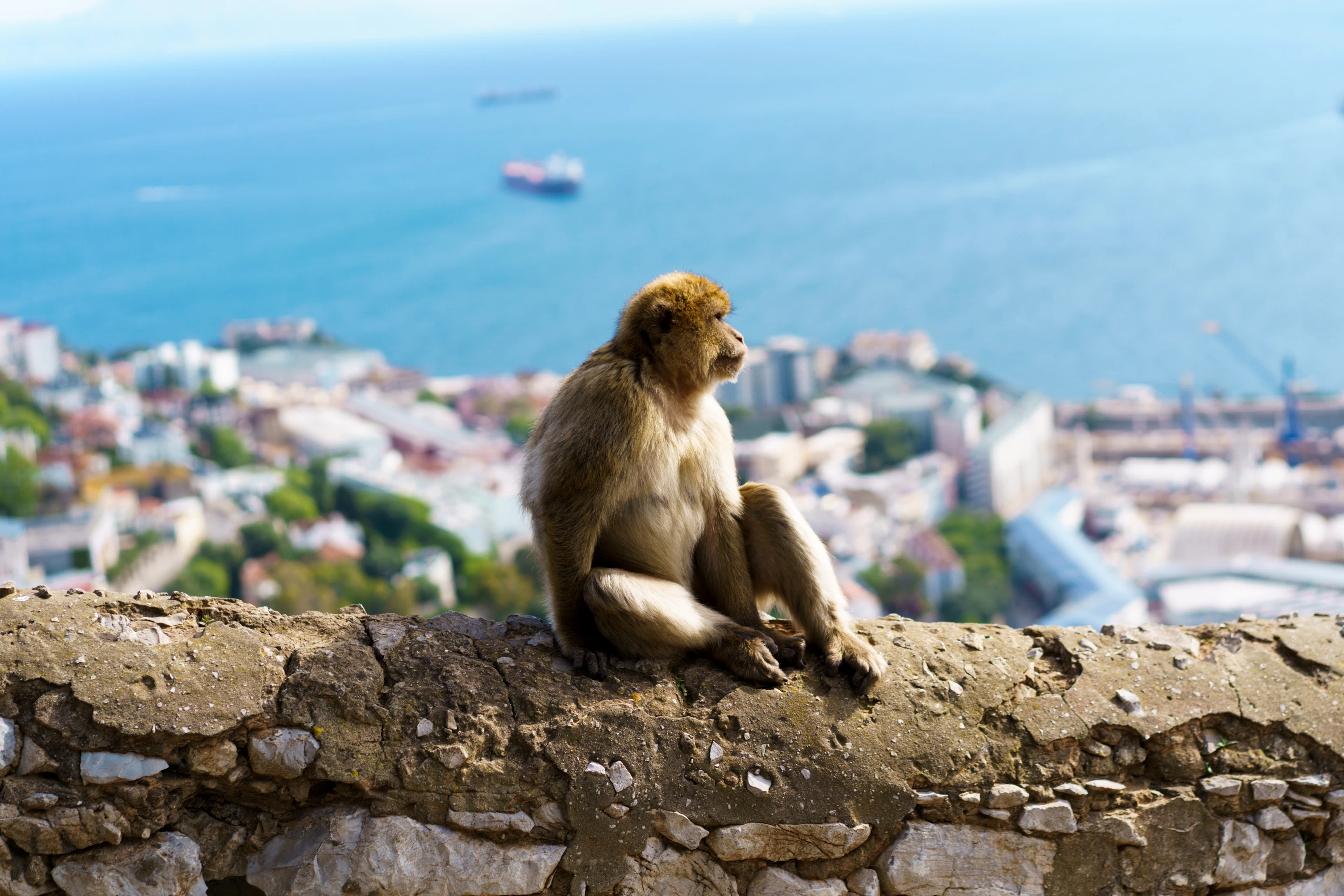 Gibraltar