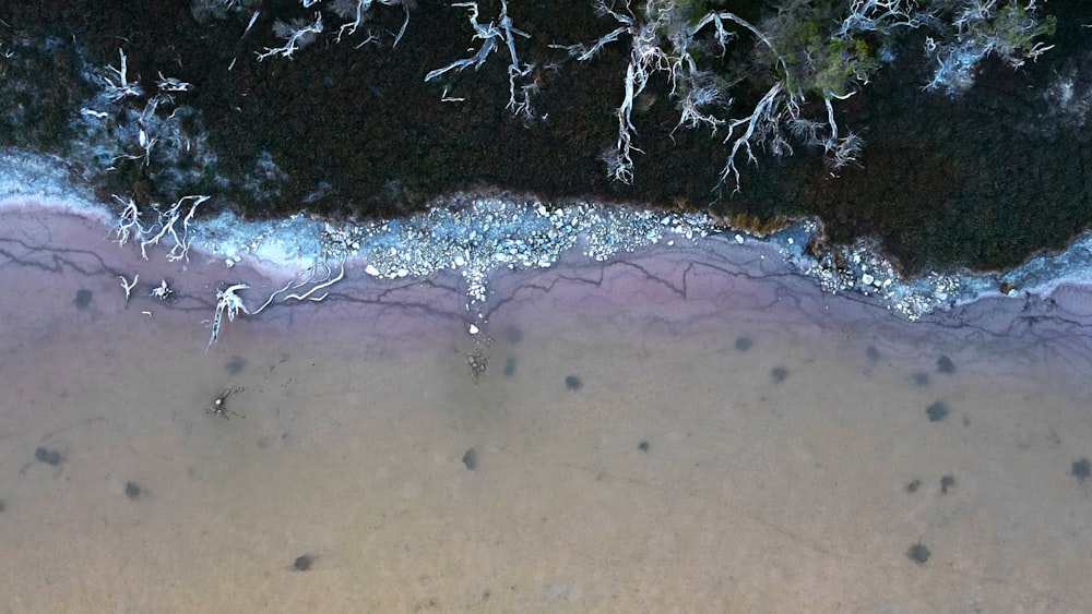 an aerial view of a sandy beach and water