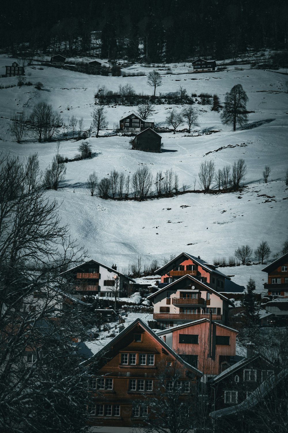 a snowy landscape with houses and trees in the foreground