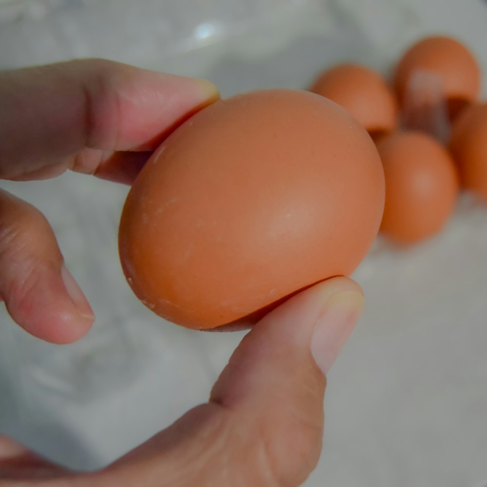 a person holding a small egg in their hand